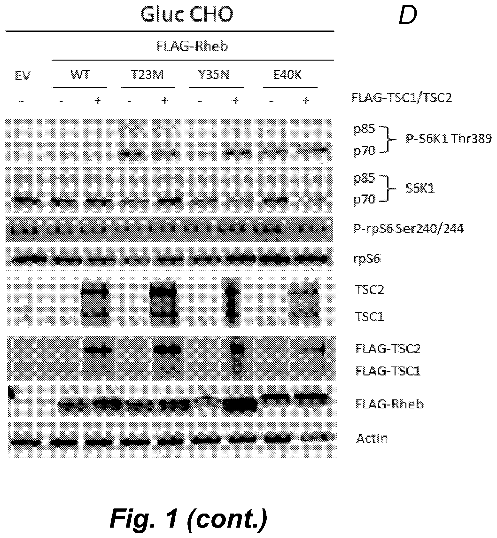 Patent US12492232 Figure 3 – Methods for producing proteins