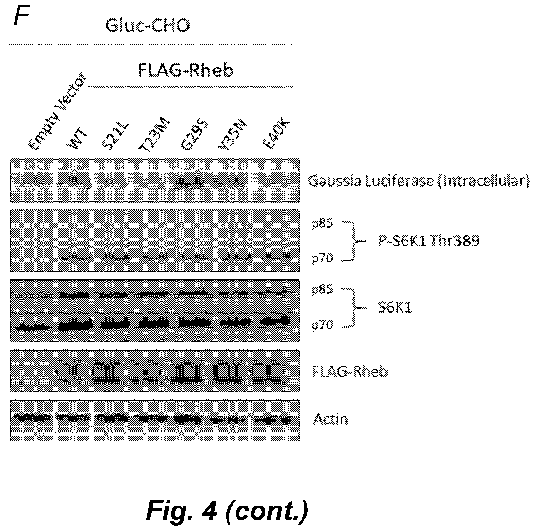 Patent US12492232 Figure 11 – Methods for producing proteins