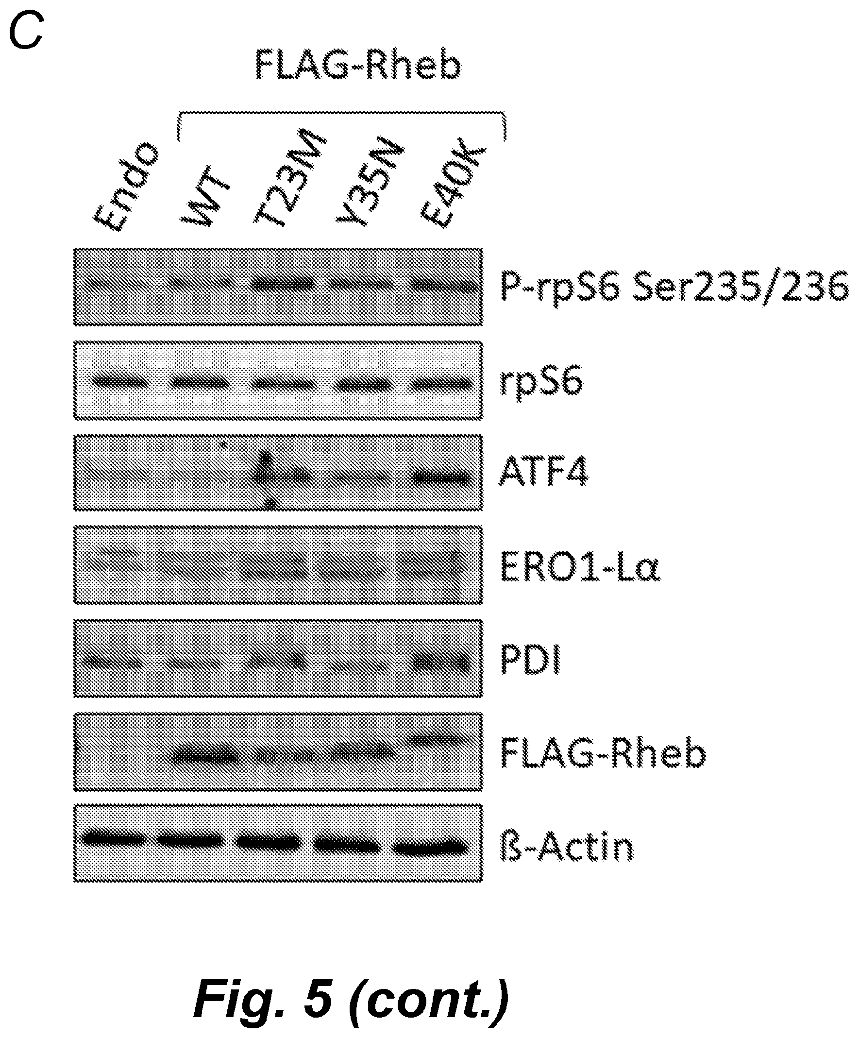 Patent US12492232 Figure 14 – Methods for producing proteins