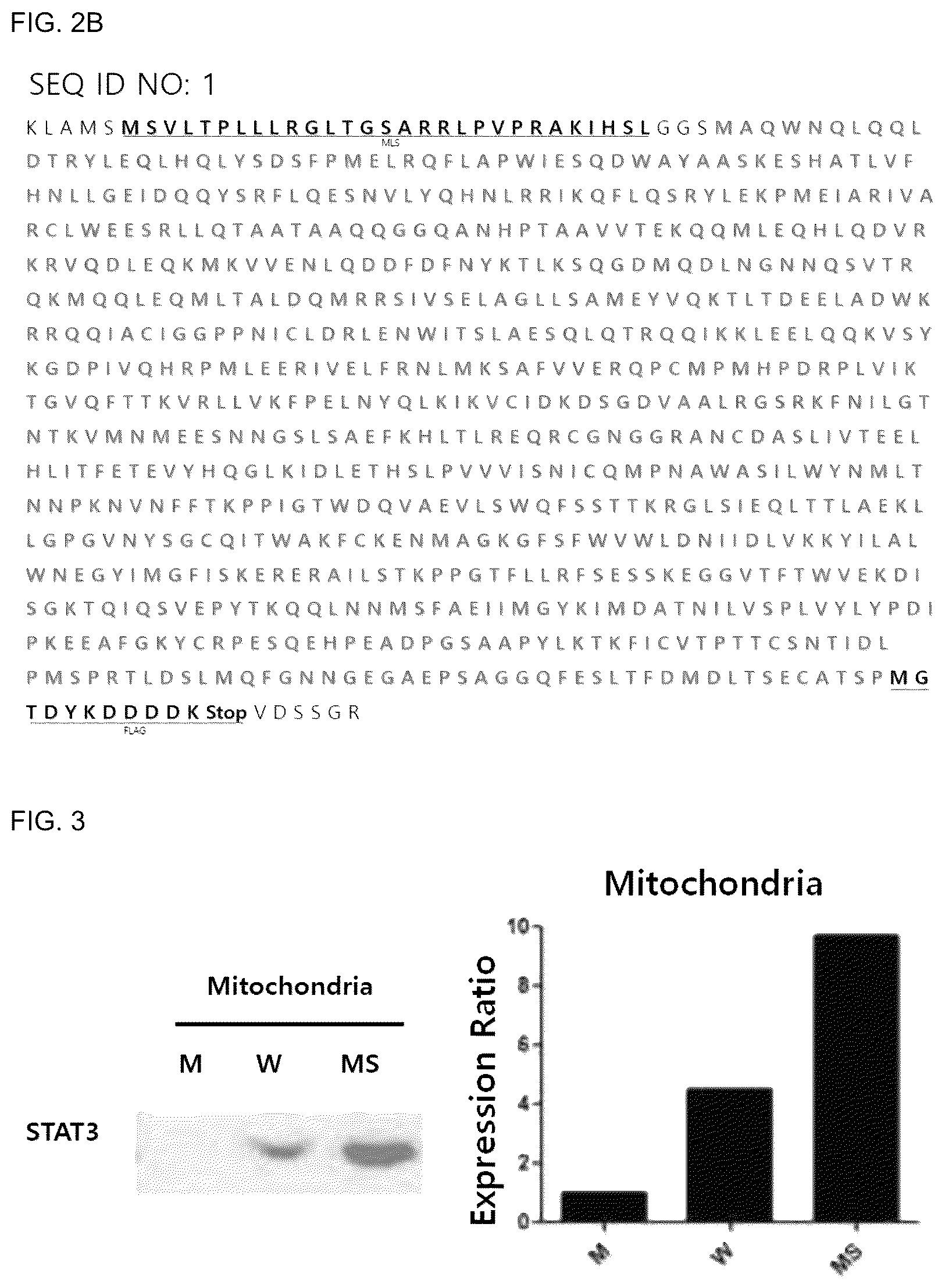Patent US12492233 Figure 2 – Composition comprising MLS-STAT3 for prevention or treatment of immune disease