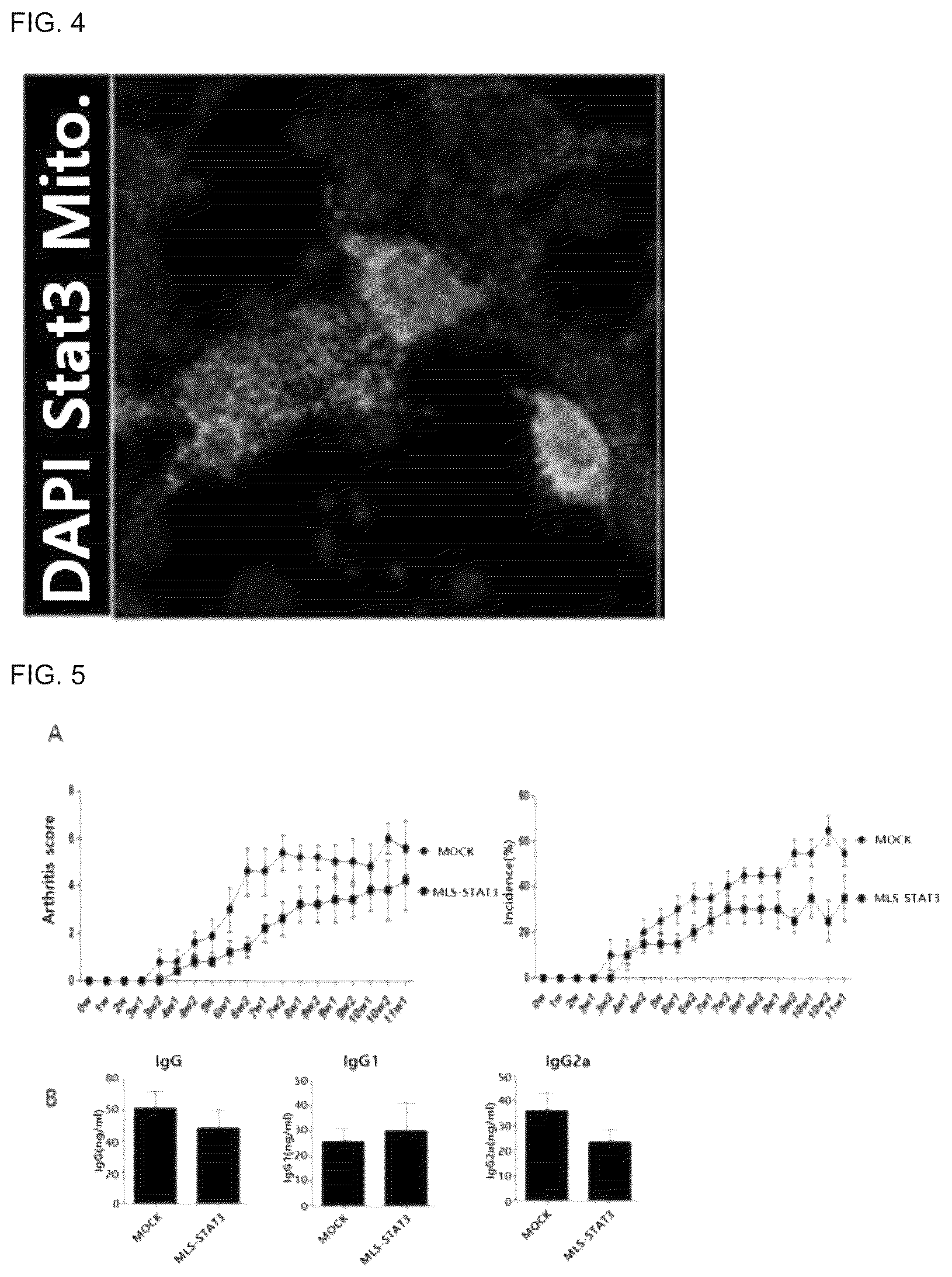 Patent US12492233 Figure 3 – Composition comprising MLS-STAT3 for prevention or treatment of immune disease