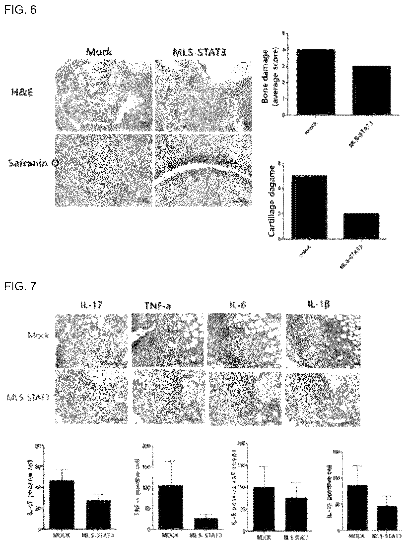 Patent US12492233 Figure 4 – Composition comprising MLS-STAT3 for prevention or treatment of immune disease
