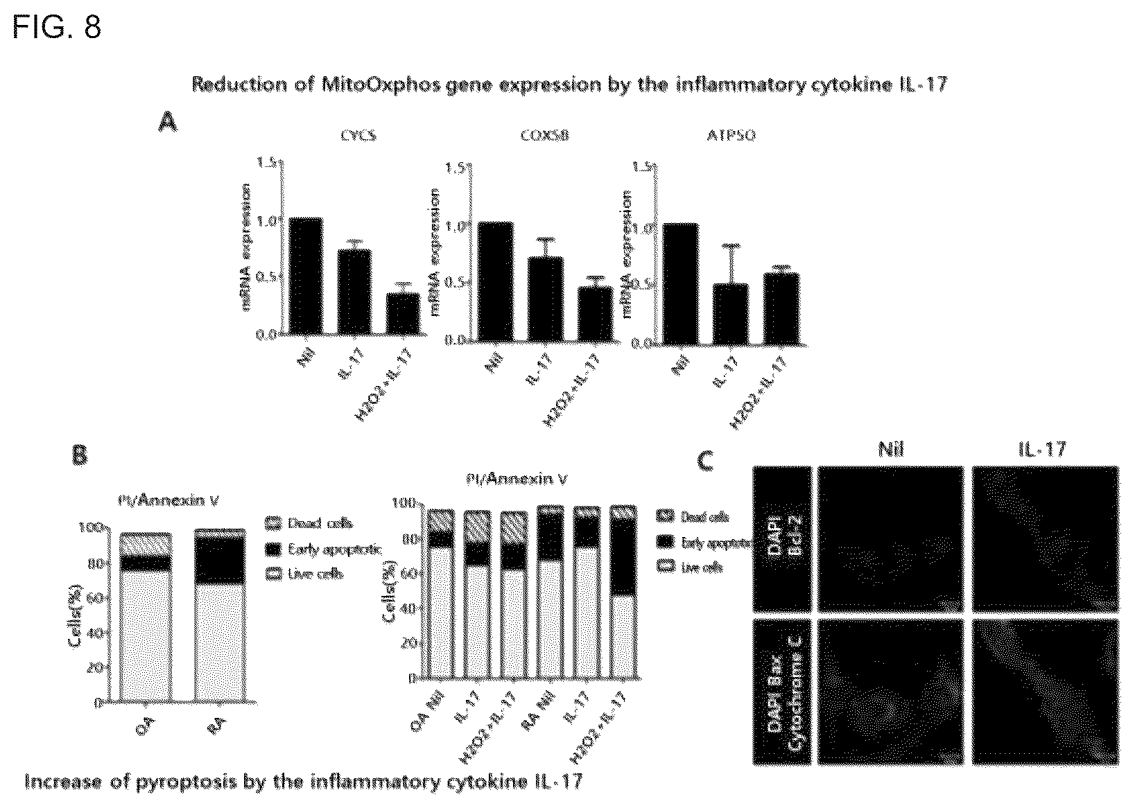 Patent US12492233 Figure 5 – Composition comprising MLS-STAT3 for prevention or treatment of immune disease