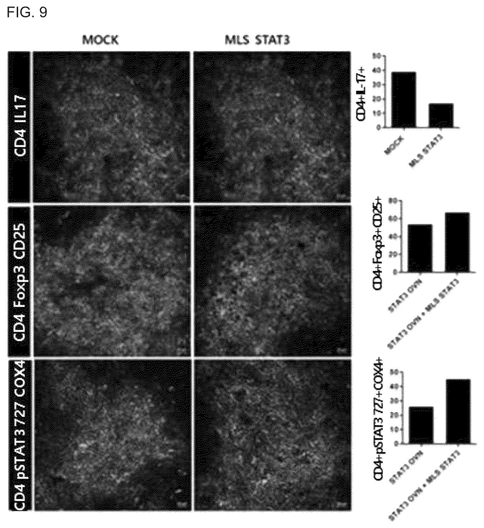 Patent US12492233 Figure 6 – Composition comprising MLS-STAT3 for prevention or treatment of immune disease