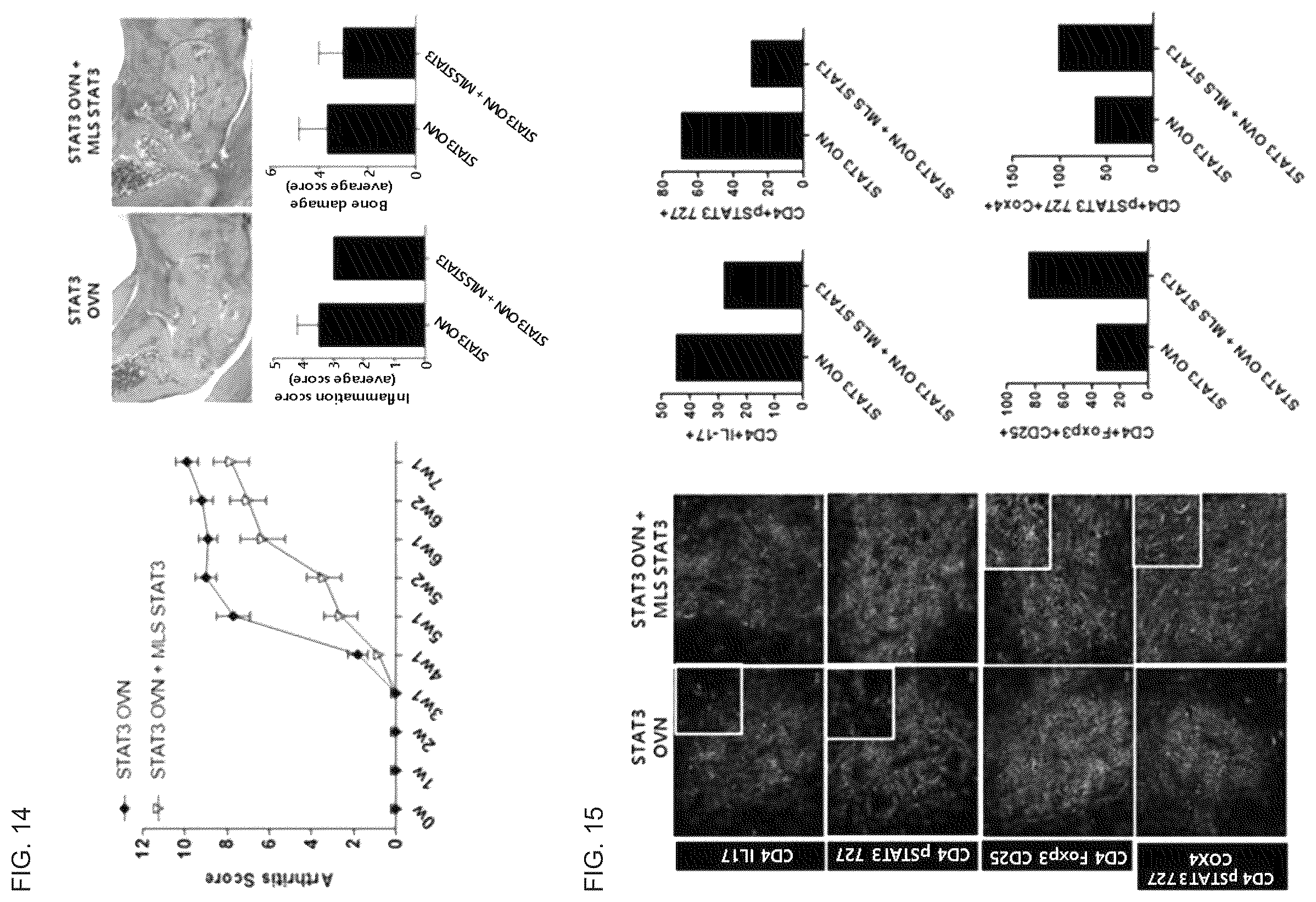 Patent US12492233 Figure 10 – Composition comprising MLS-STAT3 for prevention or treatment of immune disease