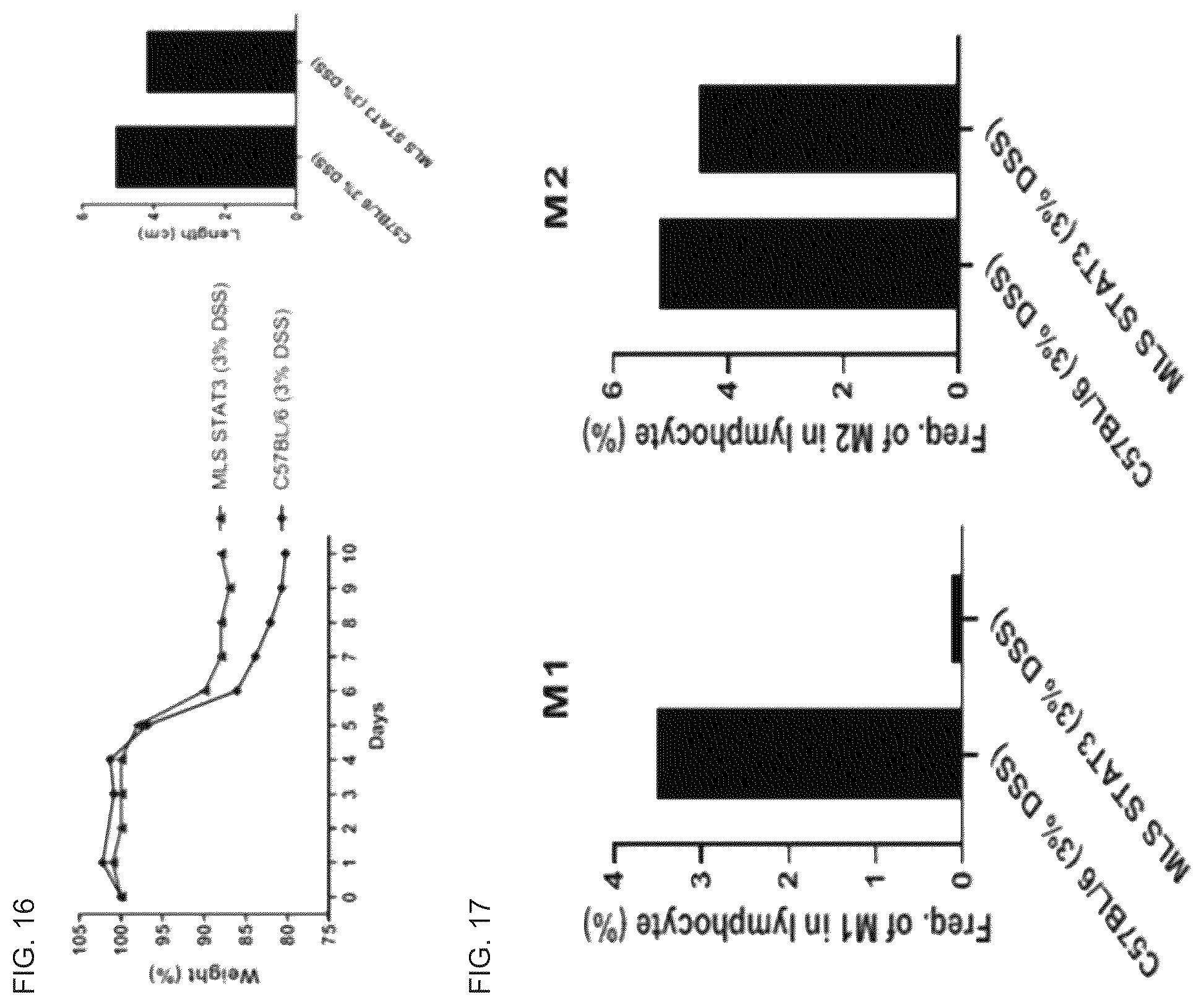 Patent US12492233 Figure 11 – Composition comprising MLS-STAT3 for prevention or treatment of immune disease