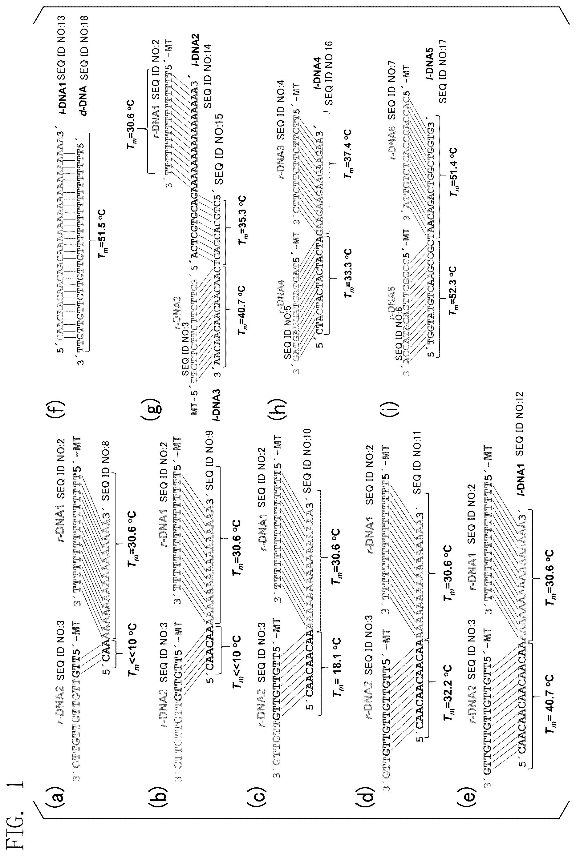 Patent US12492234 — Fiber assembly and use thereof — Figure 1