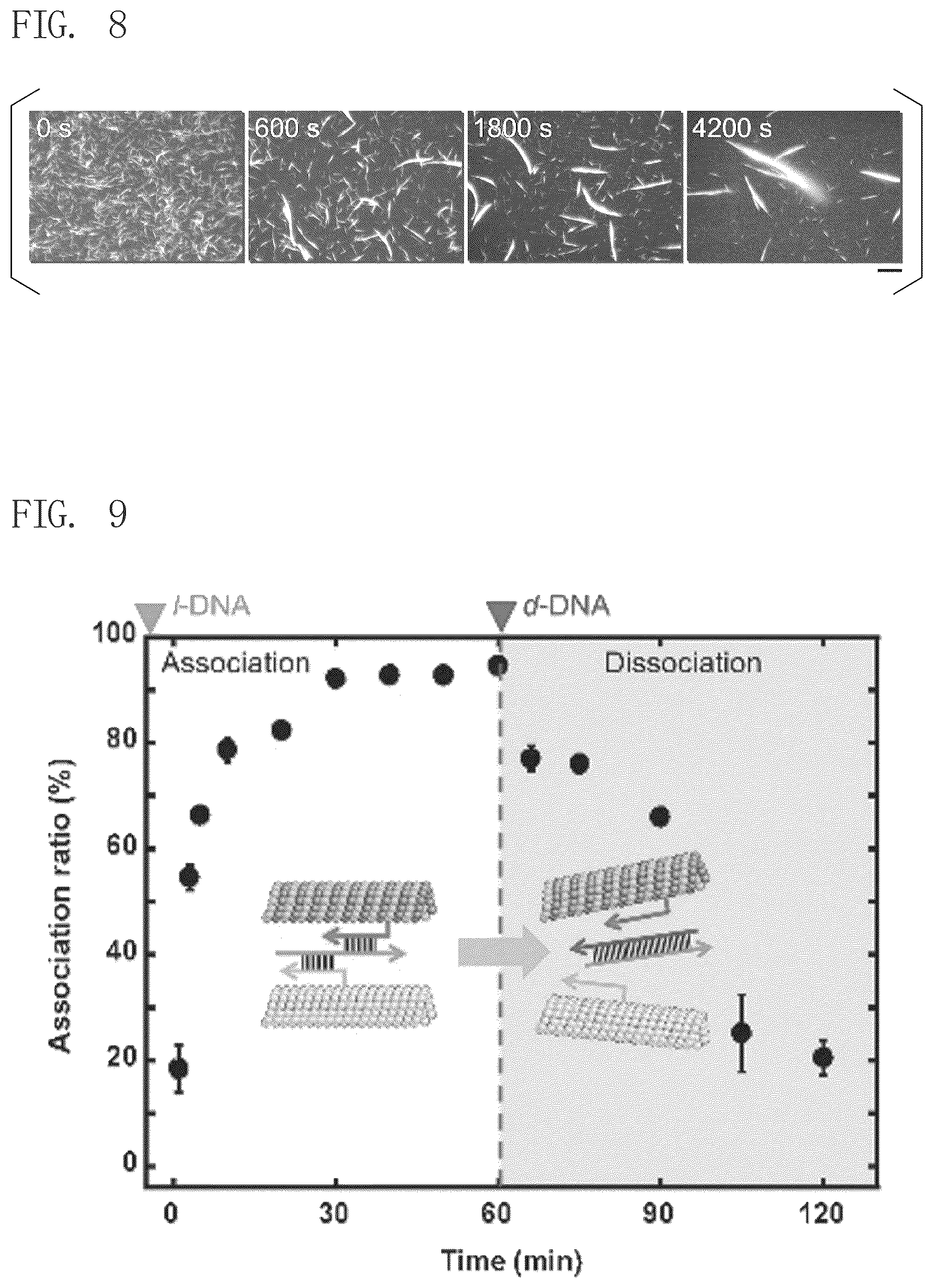 Patent US12492234 Figure 5 – Fiber assembly and use thereof