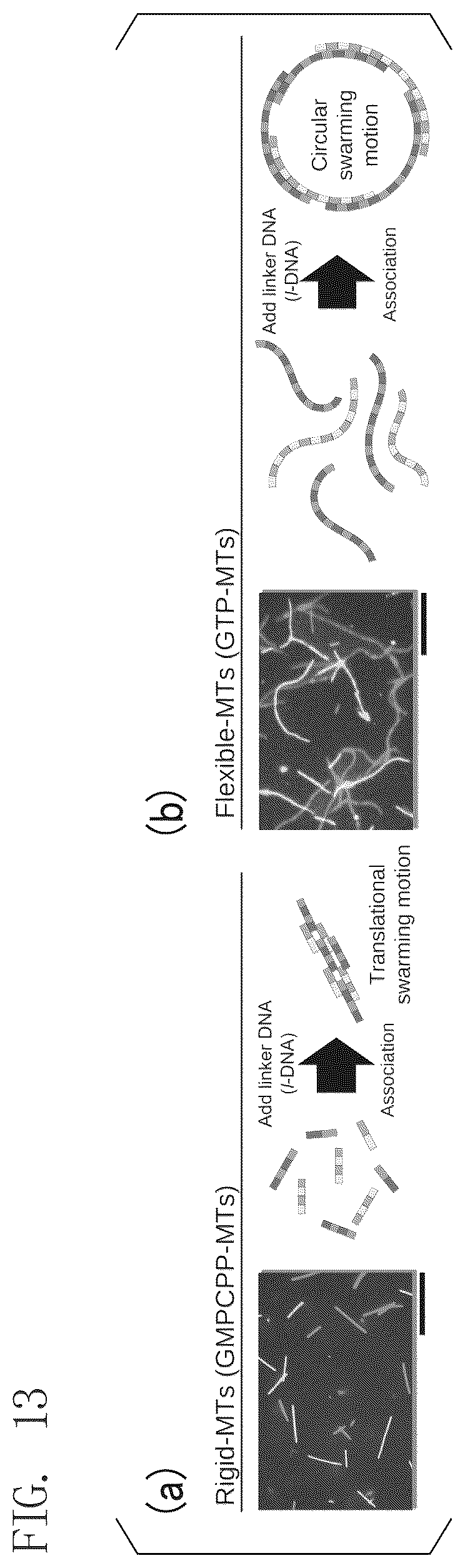 Patent US12492234 Figure 8 – Fiber assembly and use thereof