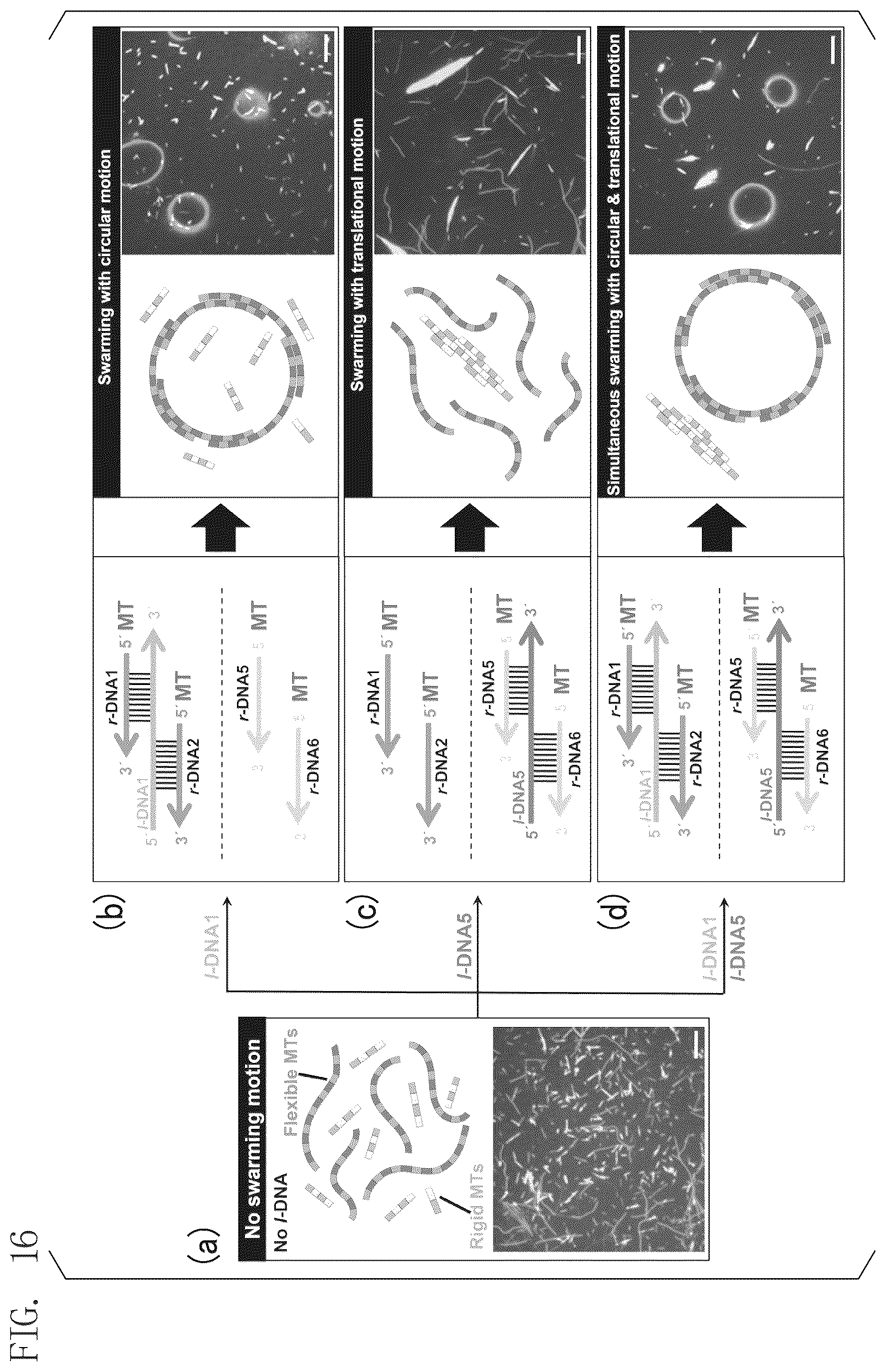 Patent US12492234 Figure 10 – Fiber assembly and use thereof
