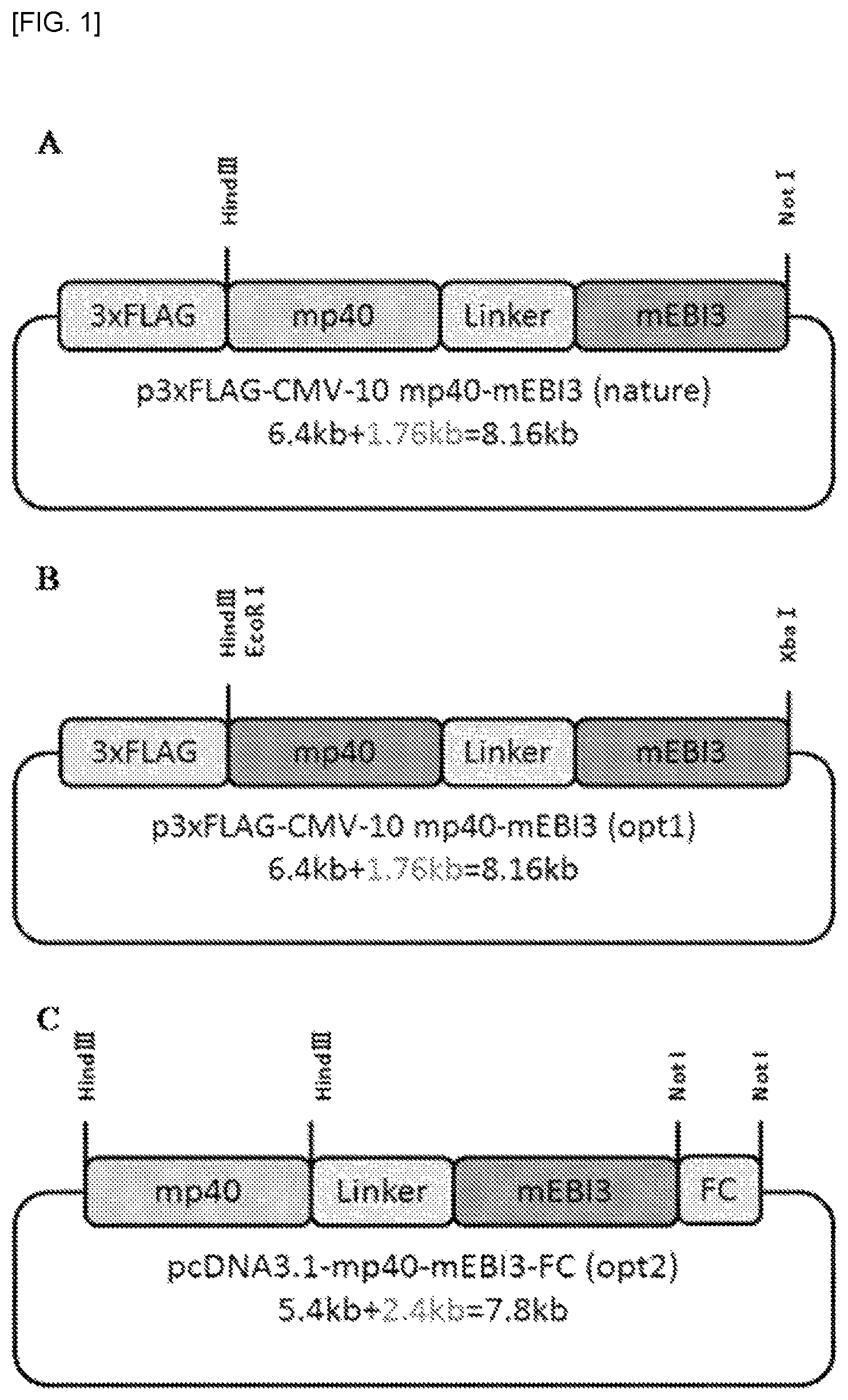 Patent US12492235 Figure 1 – Cytokines and use thereof