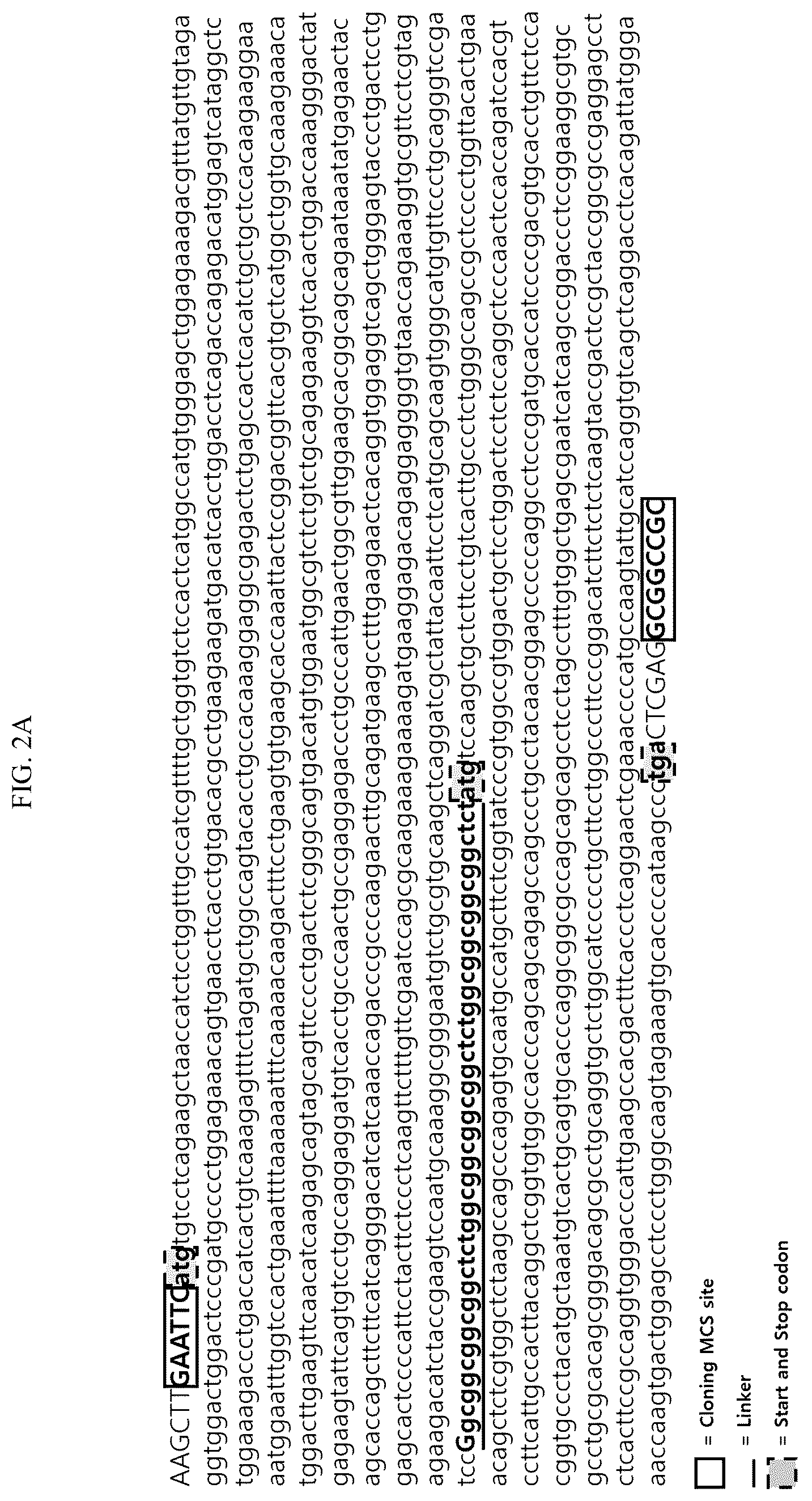 Patent US12492235 Figure 2 – Cytokines and use thereof