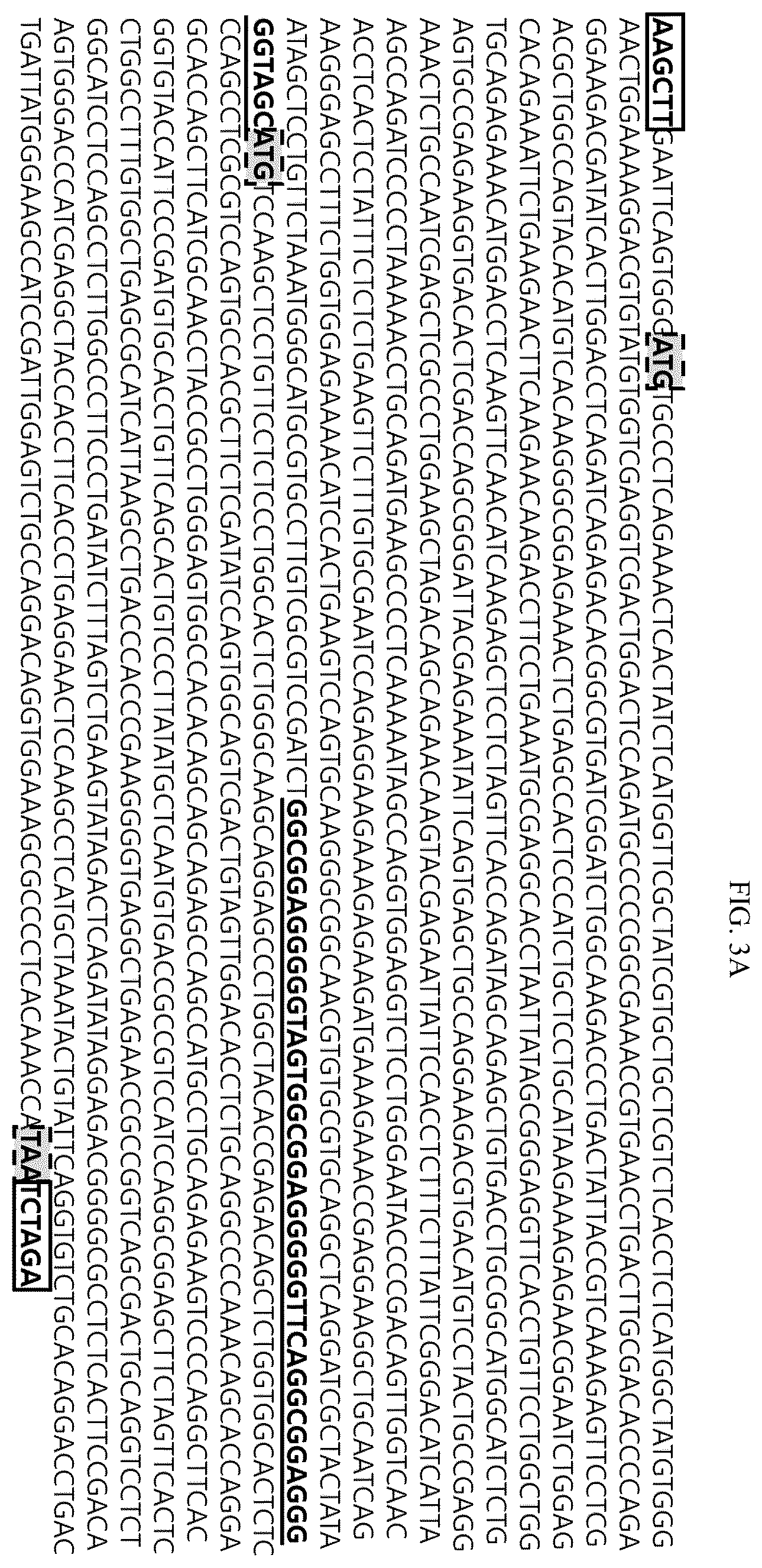 Patent US12492235 Figure 4 – Cytokines and use thereof
