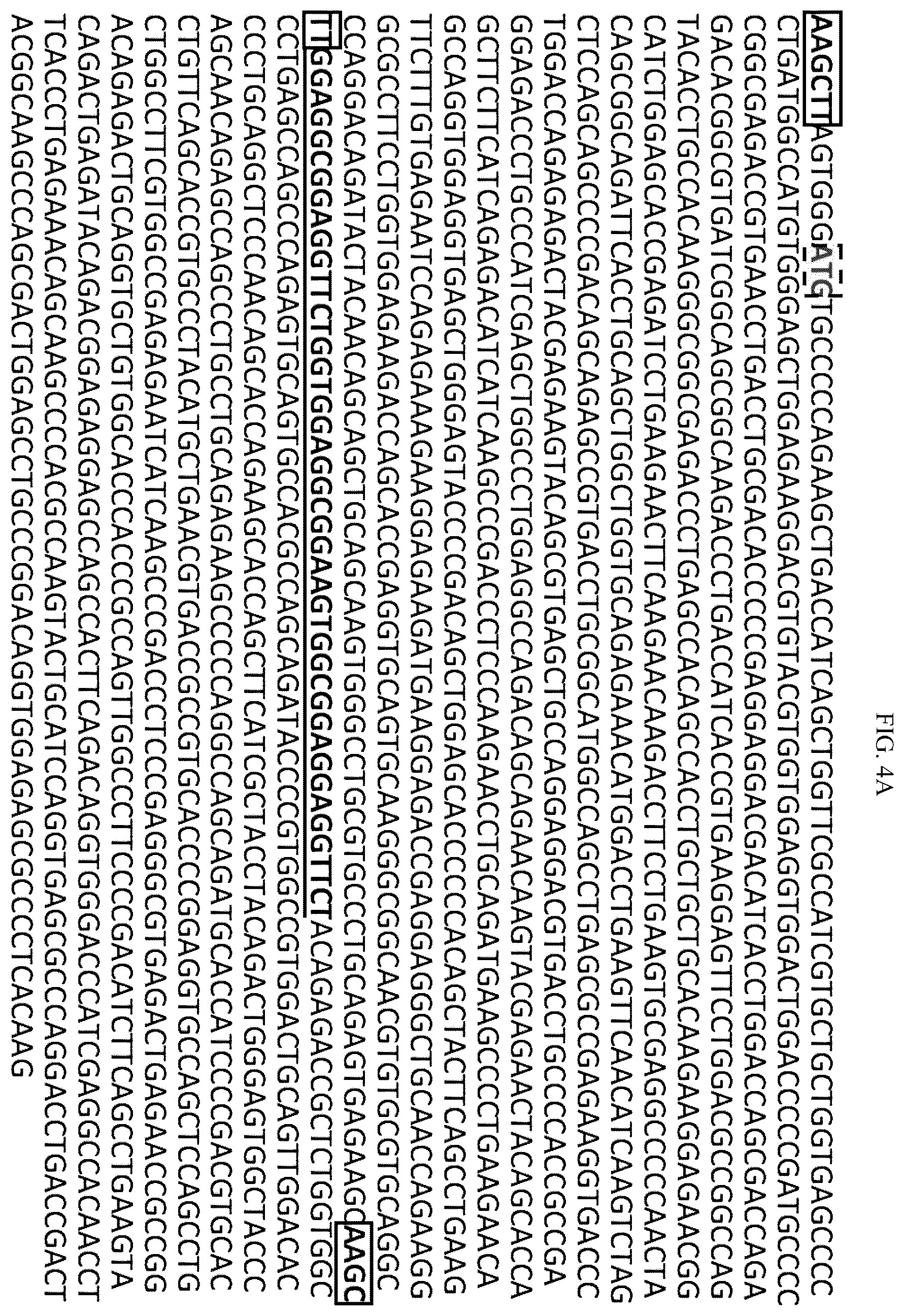 Patent US12492235 Figure 6 – Cytokines and use thereof