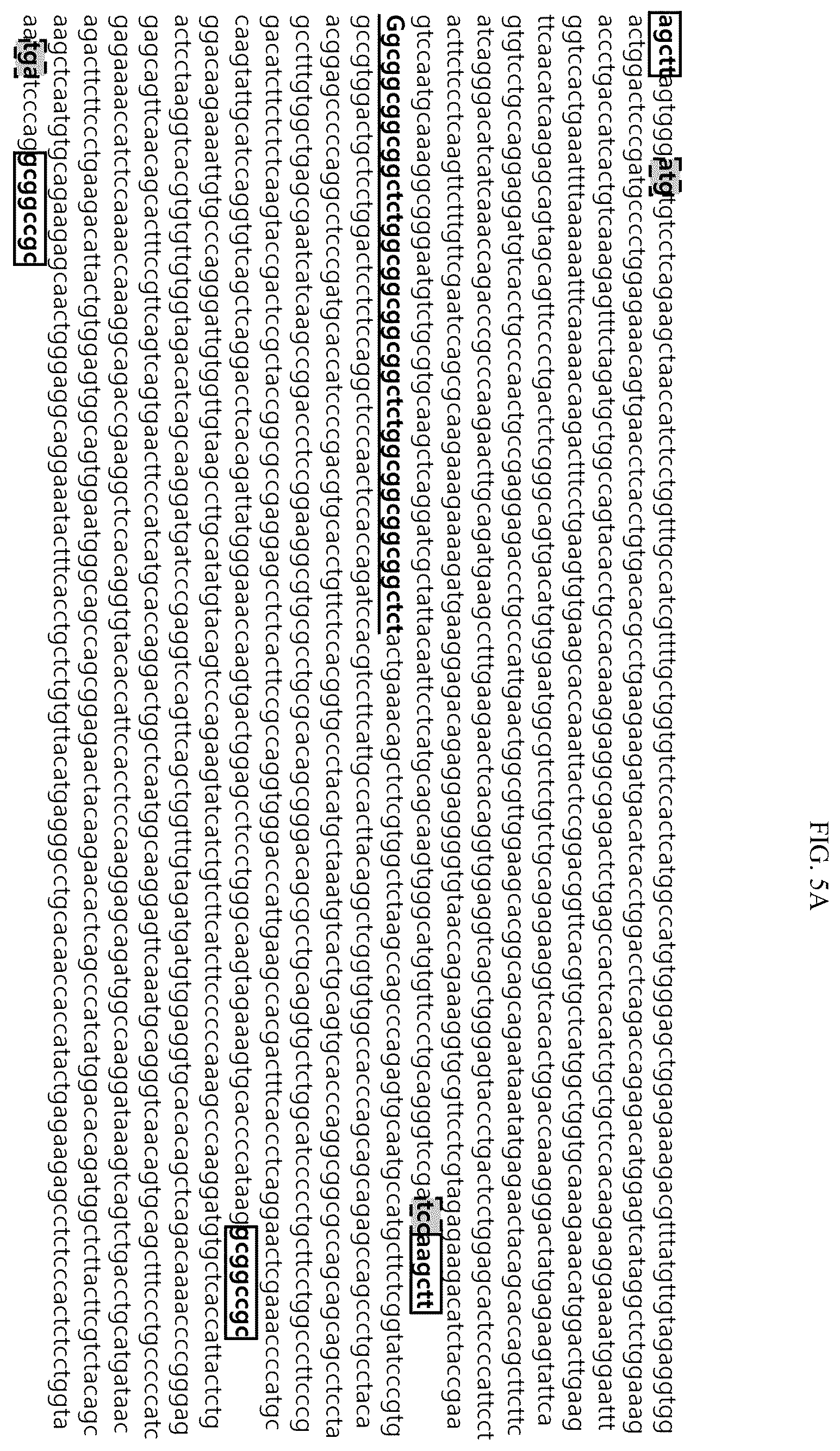 Patent US12492235 Figure 8 – Cytokines and use thereof