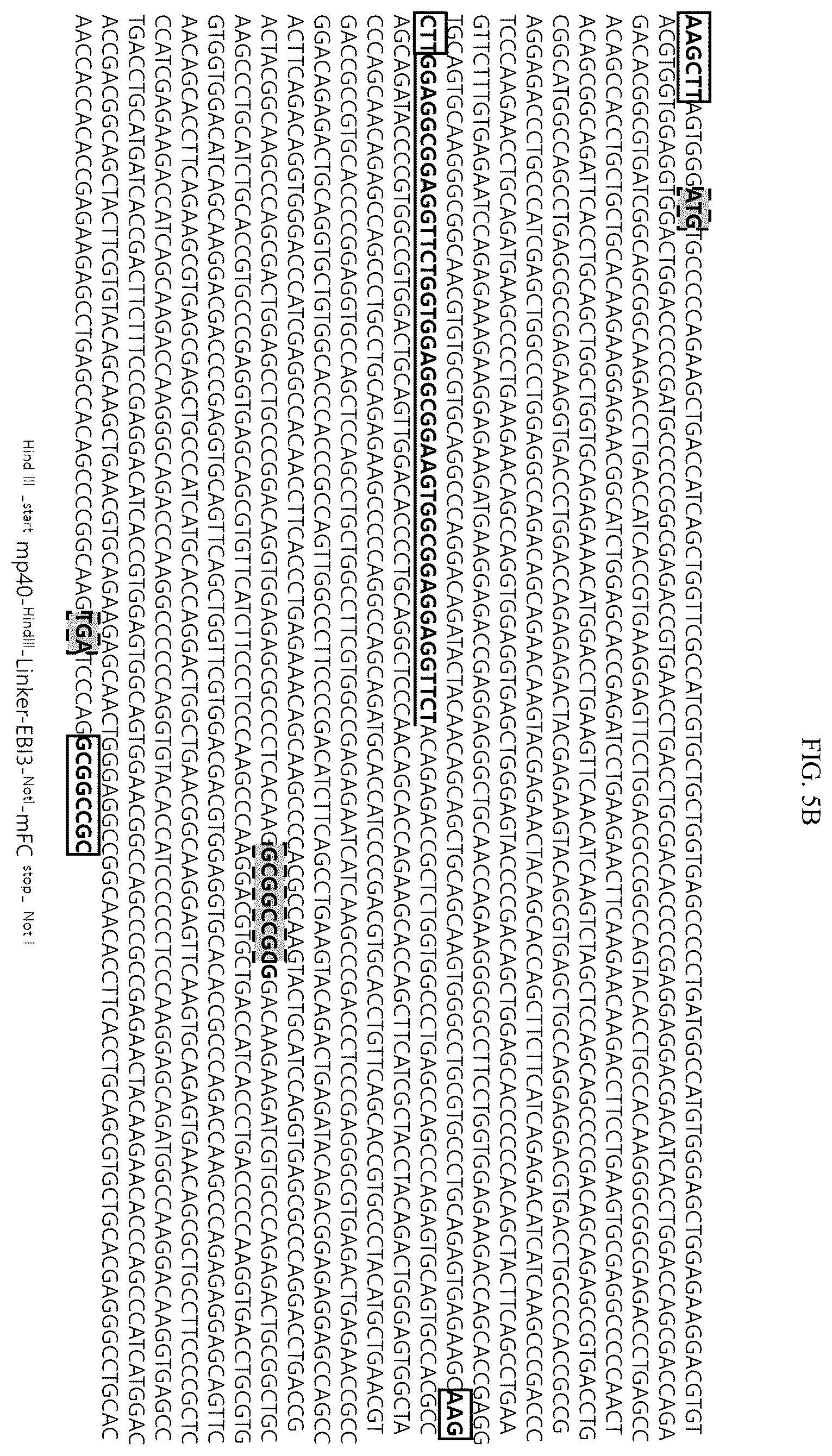 Patent US12492235 Figure 9 – Cytokines and use thereof