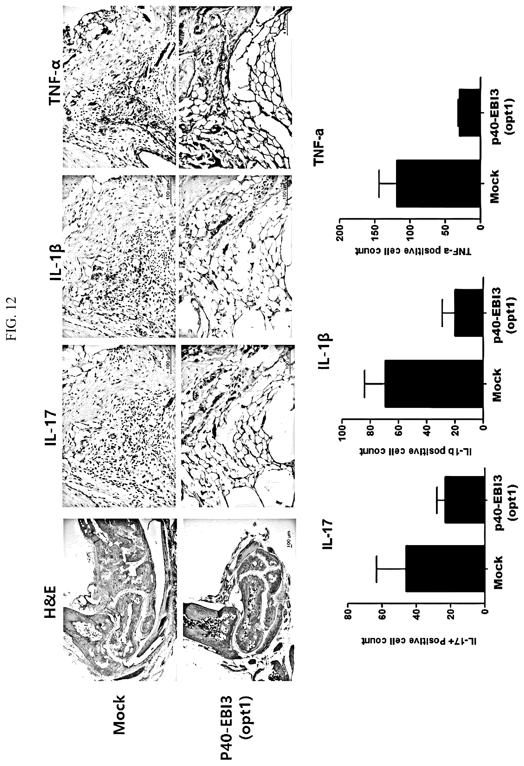 Patent US12492235 Figure 18 – Cytokines and use thereof