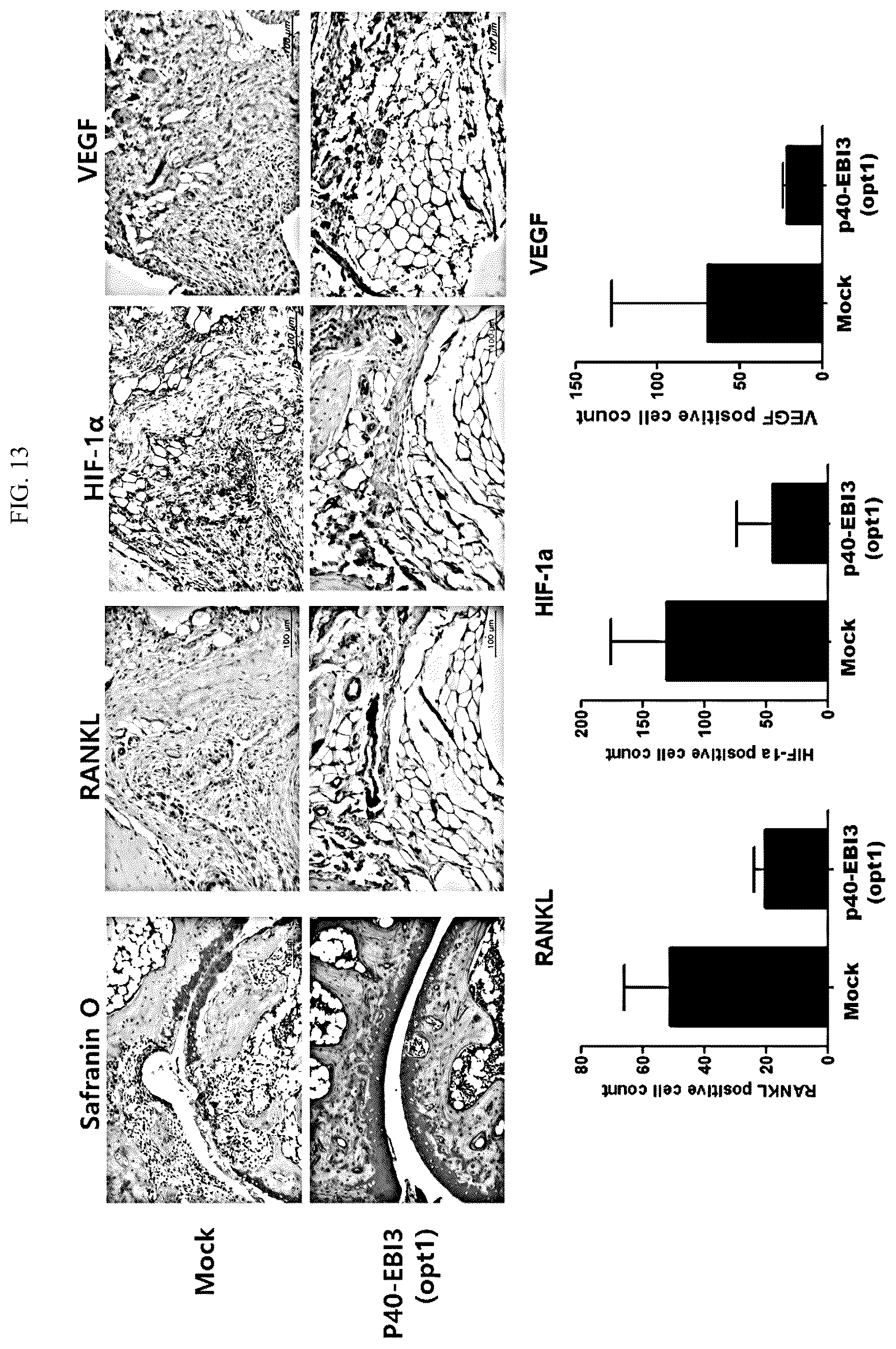 Patent US12492235 Figure 19 – Cytokines and use thereof