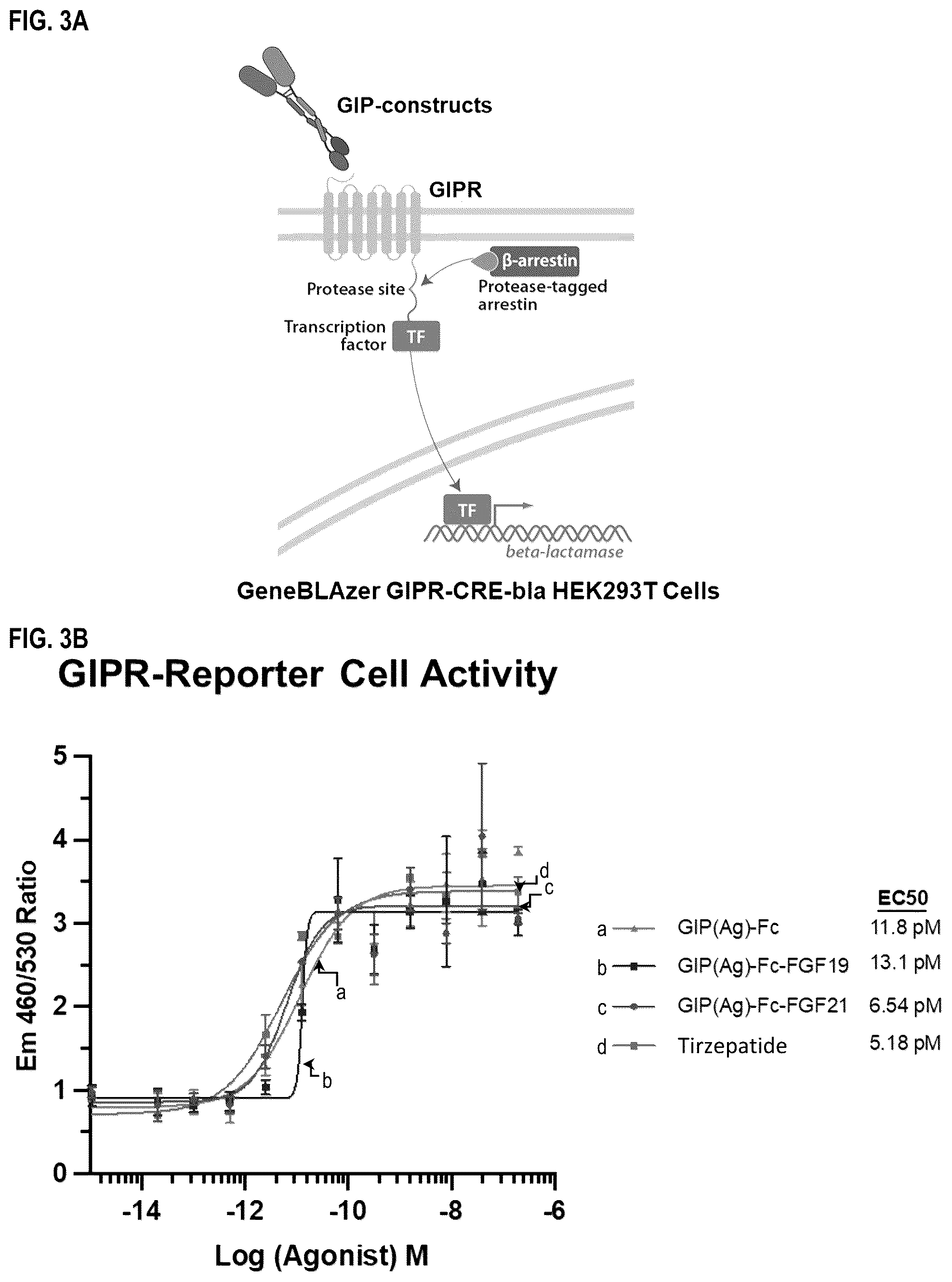 Patent US12492236 Figure 7 – Fusion proteins for the treatment of cardiometabolic diseases