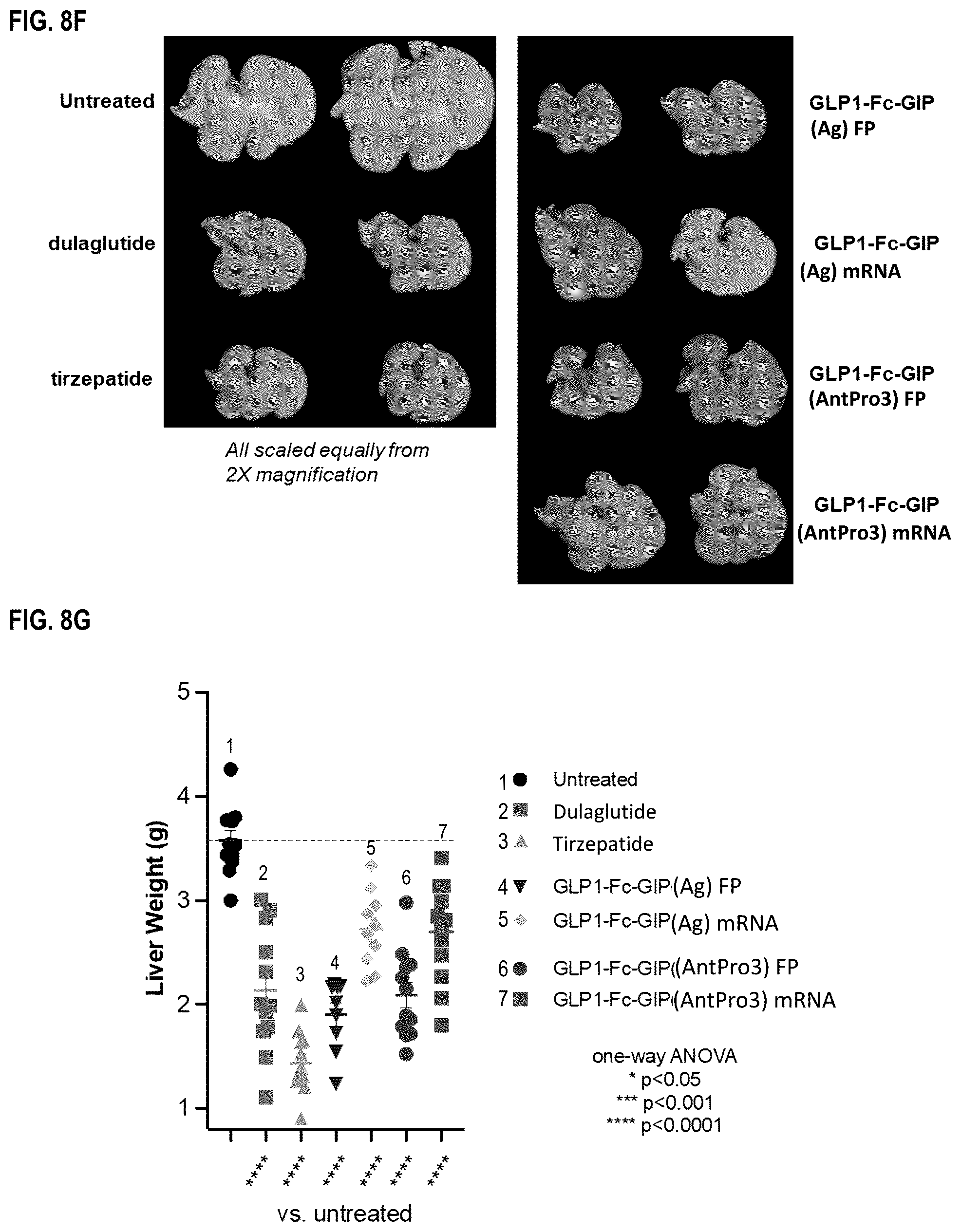Patent US12492236 Figure 18 – Fusion proteins for the treatment of cardiometabolic diseases