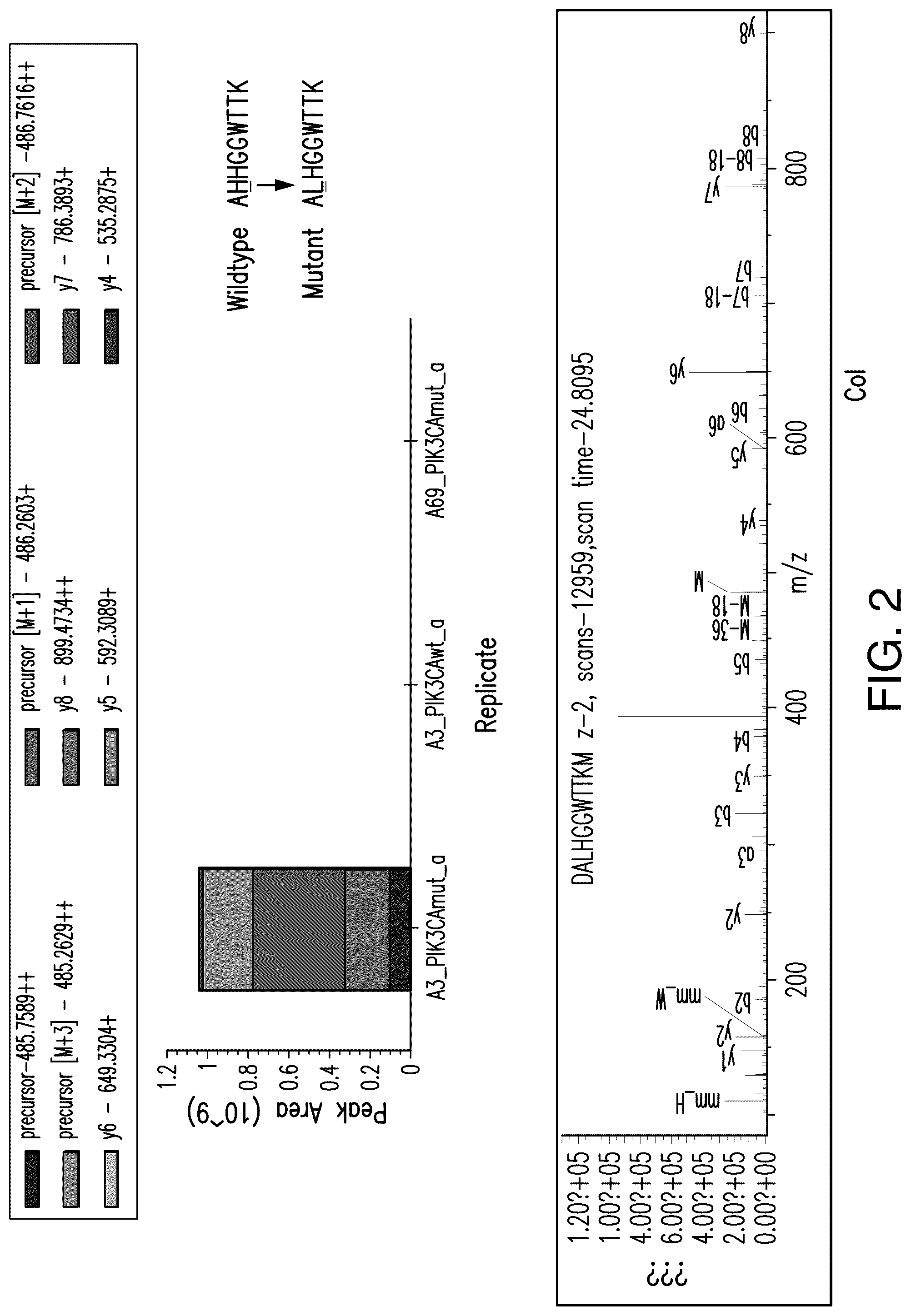 Patent US12492237 Figure 2 – T cell receptors targeting PIK3CA mutations and uses thereof
