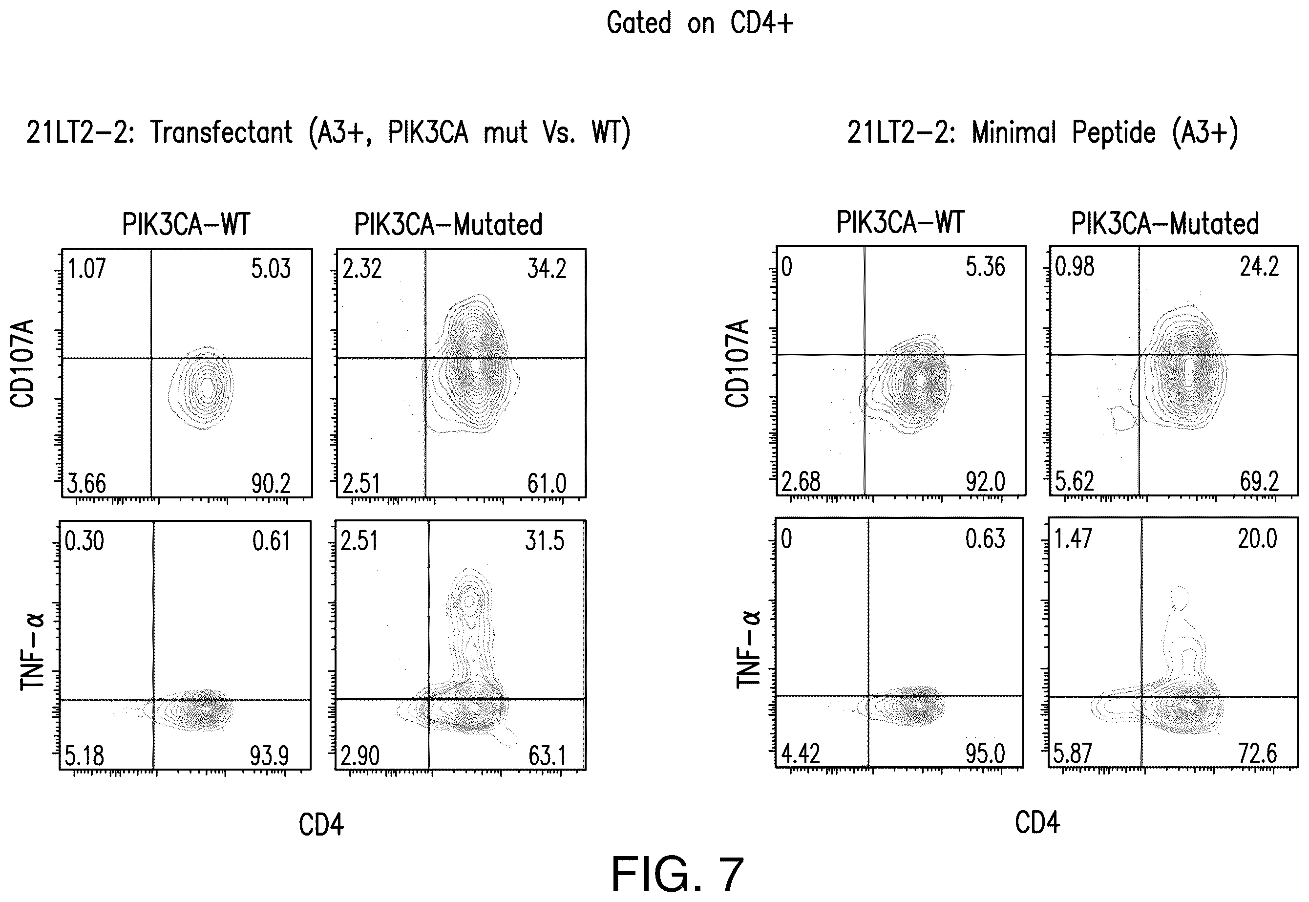 Patent US12492237 Figure 7 – T cell receptors targeting PIK3CA mutations and uses thereof