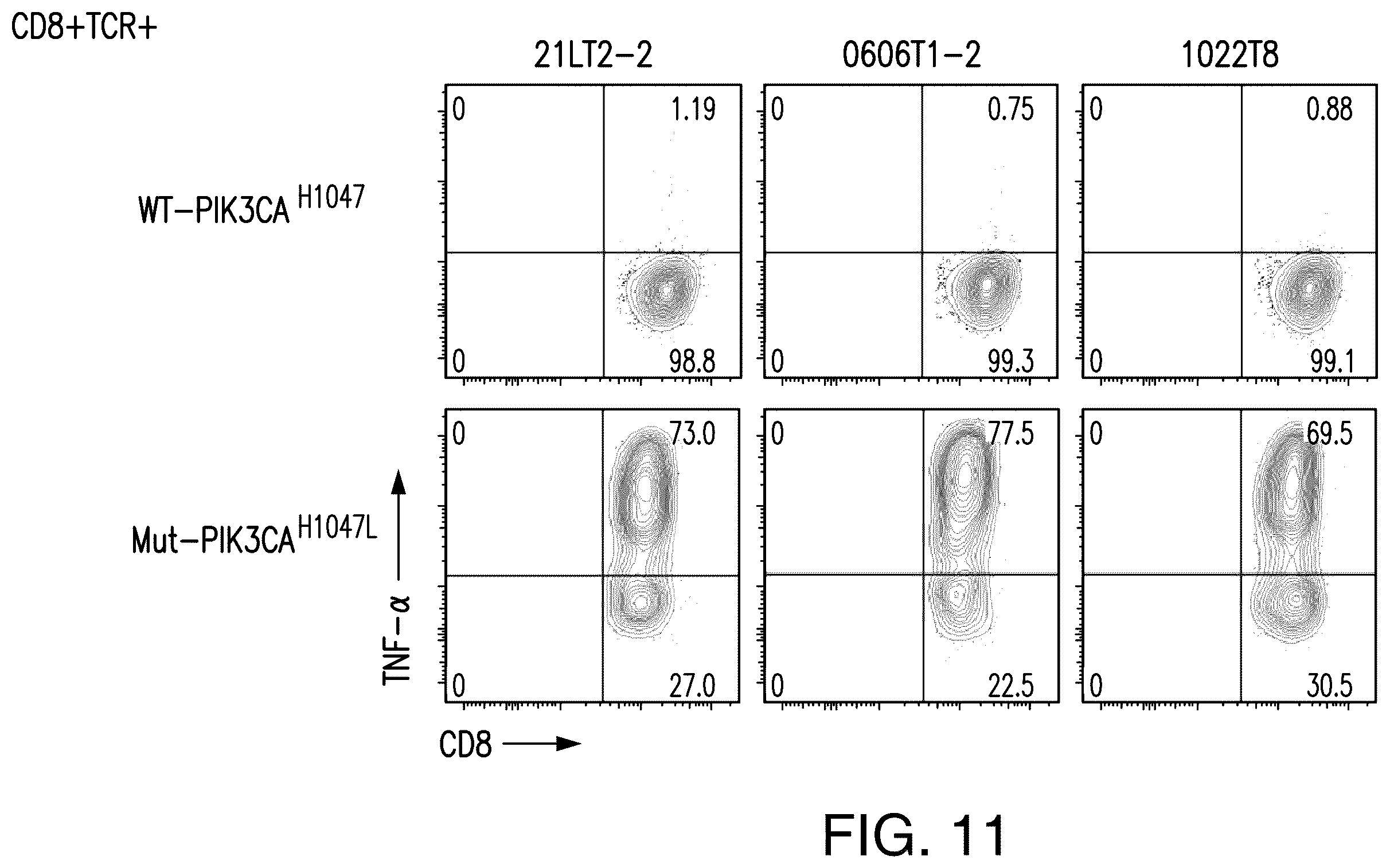 Patent US12492237 Figure 12 – T cell receptors targeting PIK3CA mutations and uses thereof