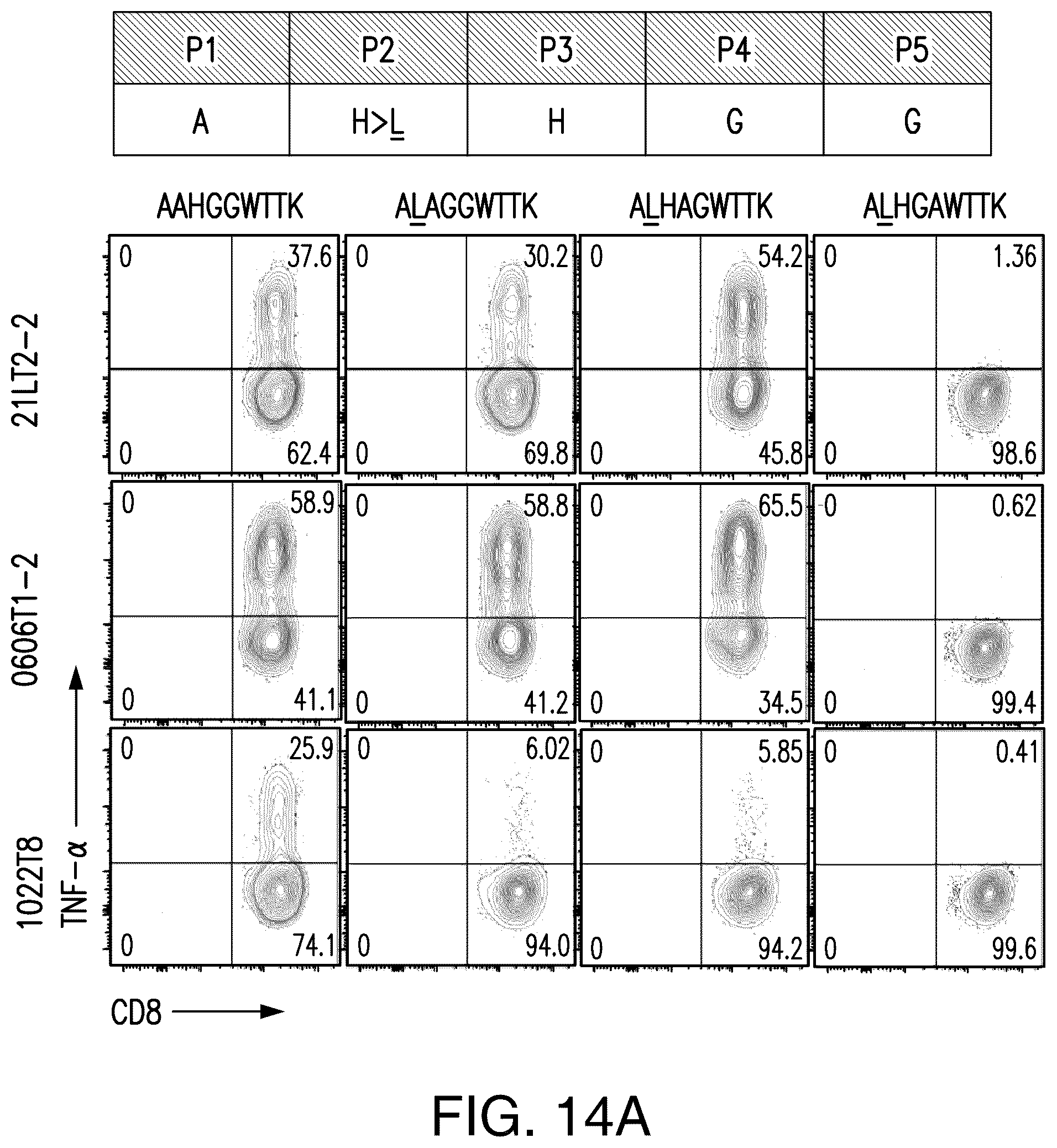 Patent US12492237 Figure 15 – T cell receptors targeting PIK3CA mutations and uses thereof