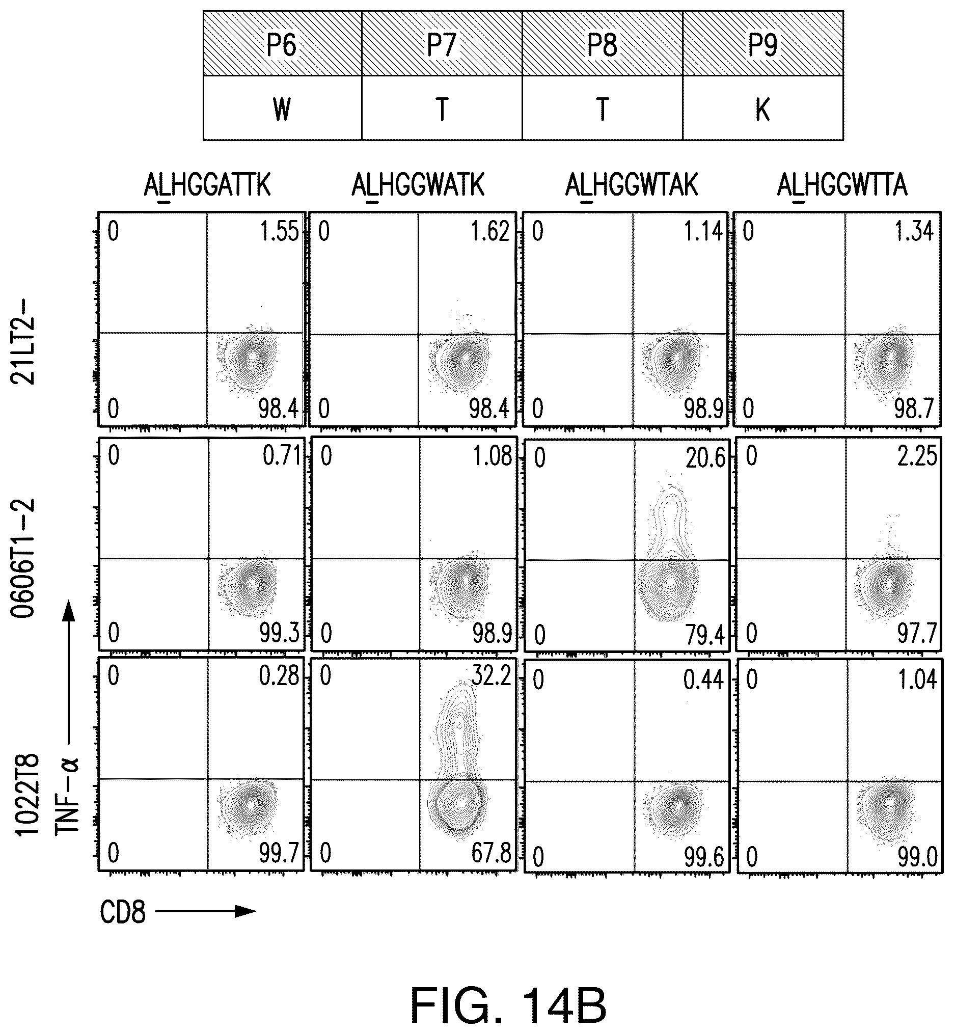 Patent US12492237 Figure 16 – T cell receptors targeting PIK3CA mutations and uses thereof