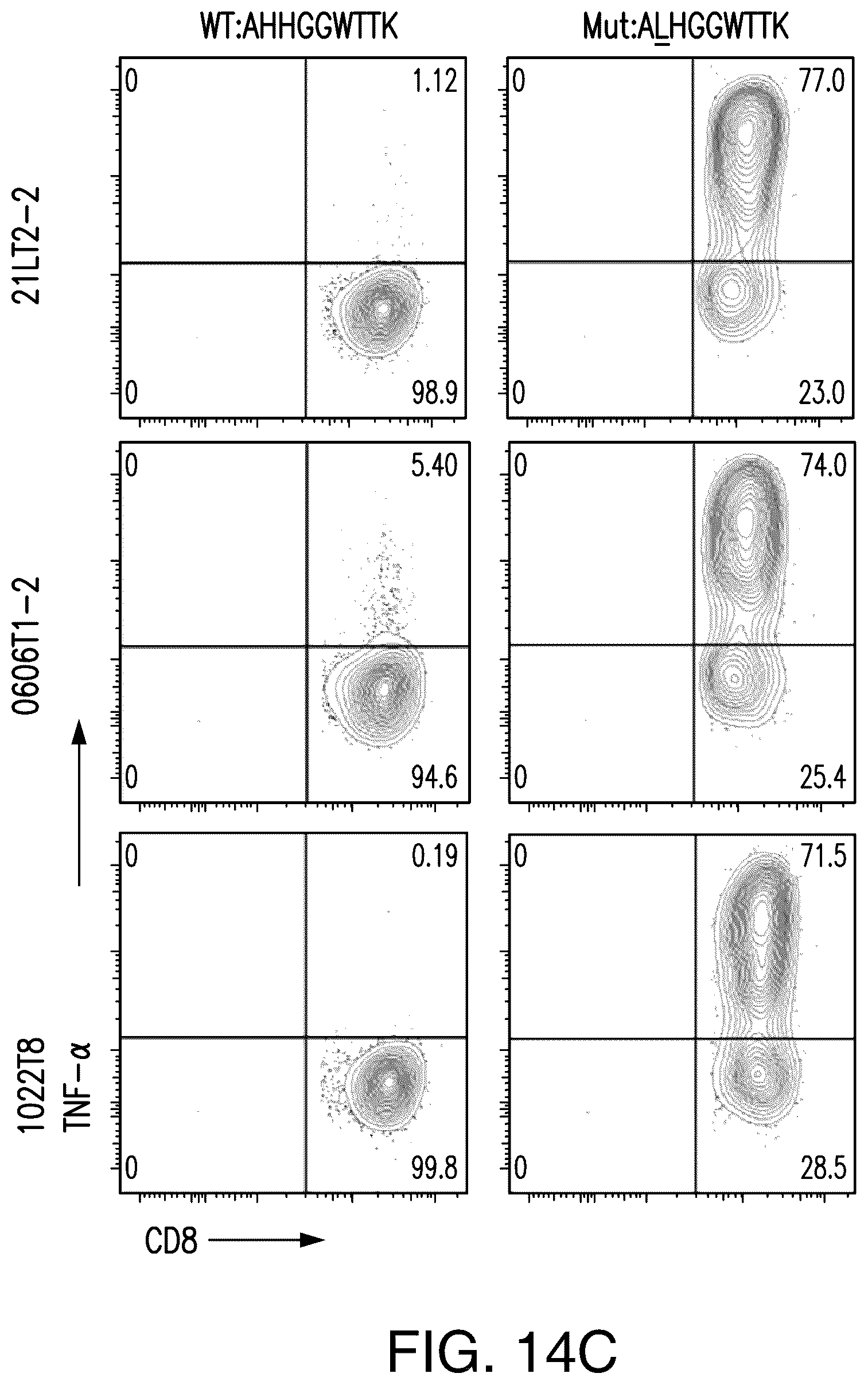 Patent US12492237 Figure 17 – T cell receptors targeting PIK3CA mutations and uses thereof