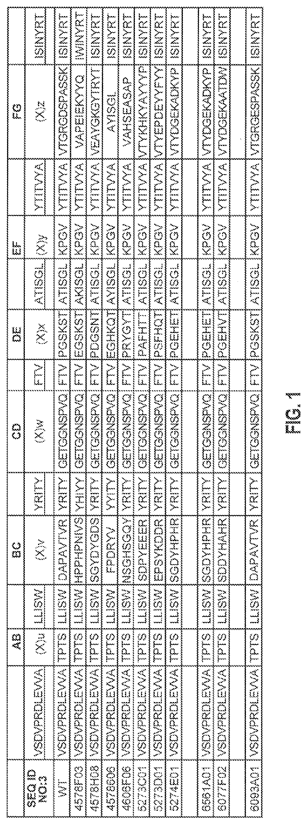 Patent US12492238 Figure 1 – Glypican-3-binding fibronectin based scaffold molecules
