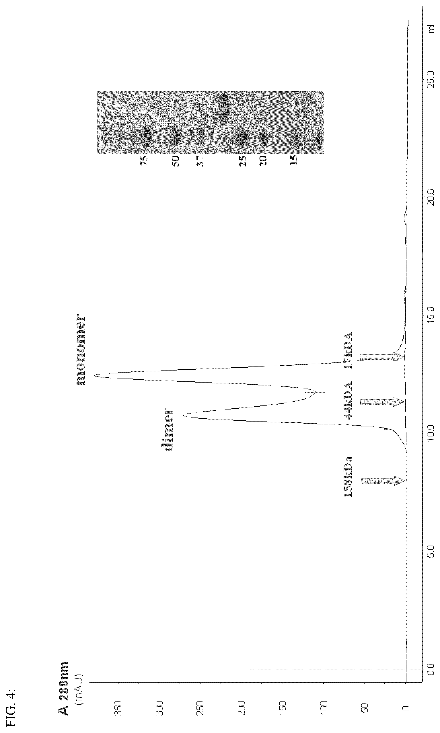 Patent US12492239 Figure 5 – Antigen binding dimer-complexes, methods of making/avoiding and uses thereof