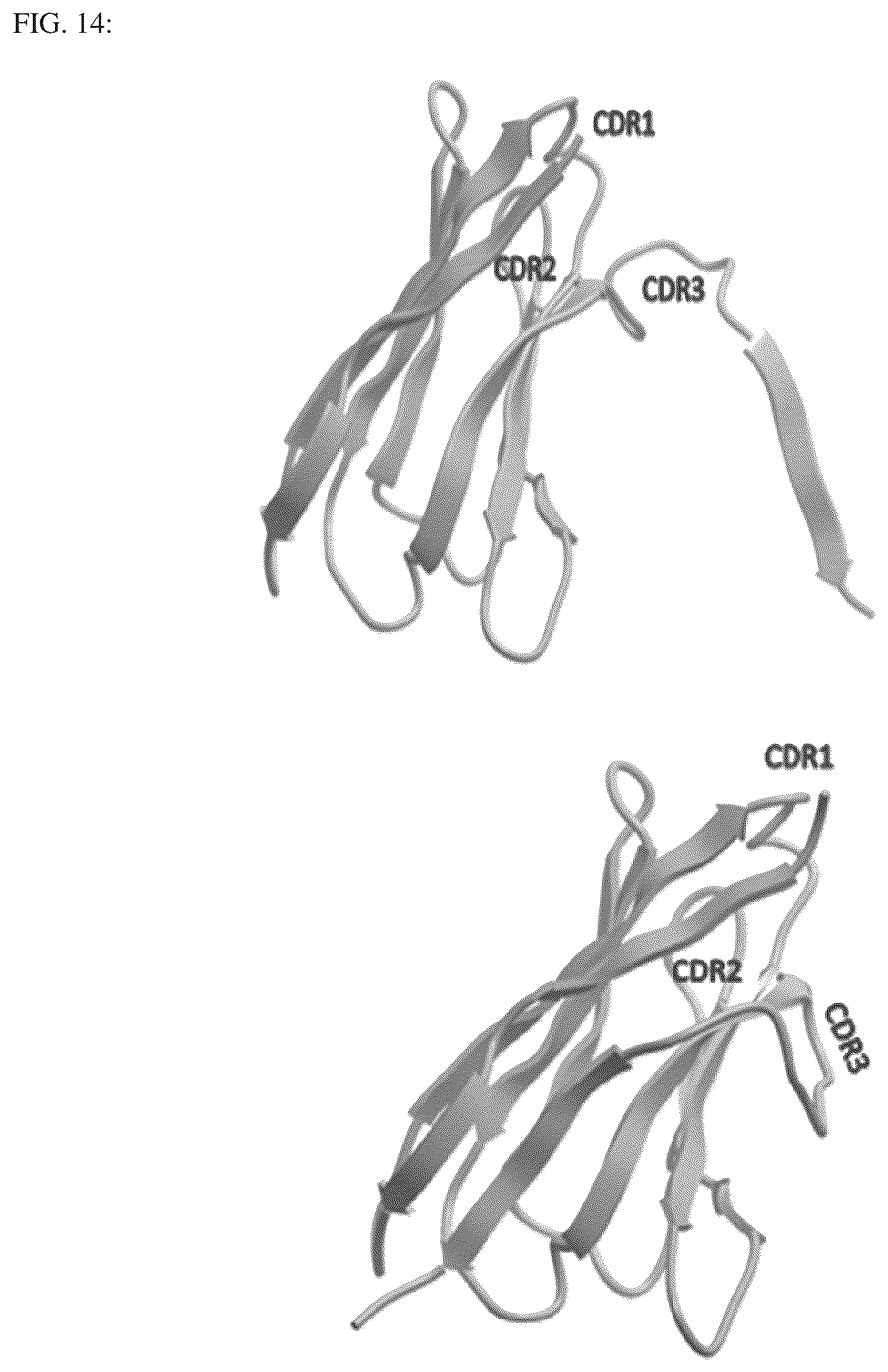 Patent US12492239 Figure 15 – Antigen binding dimer-complexes, methods of making/avoiding and uses thereof