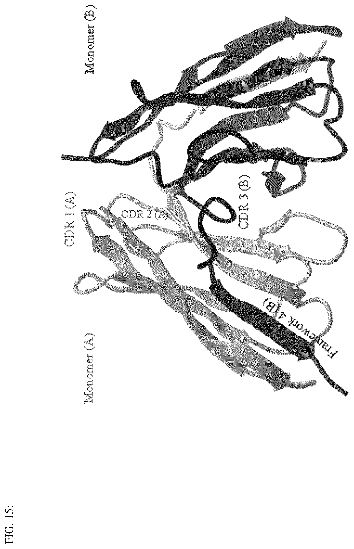 Patent US12492239 Figure 16 – Antigen binding dimer-complexes, methods of making/avoiding and uses thereof