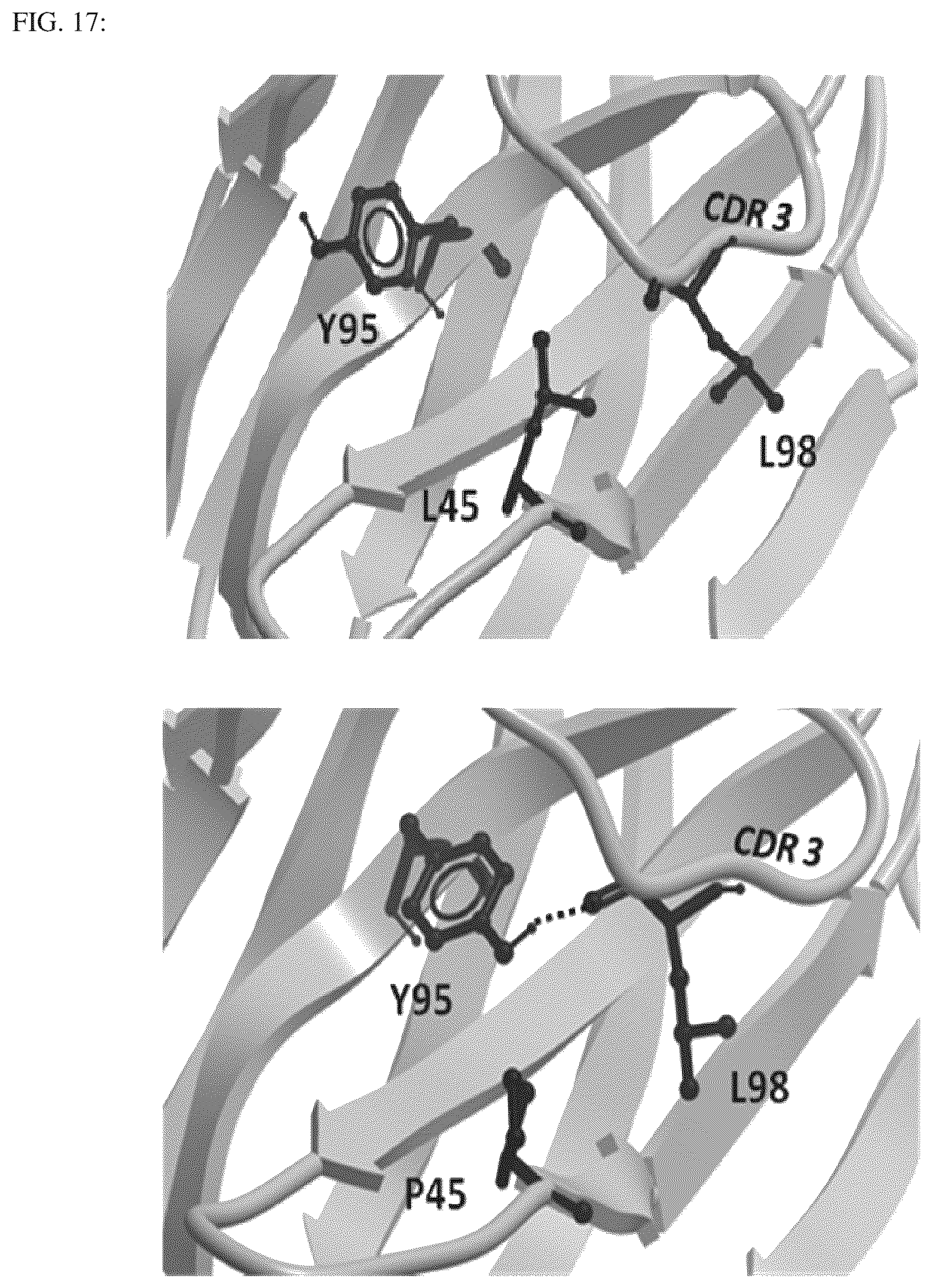 Patent US12492239 Figure 18 – Antigen binding dimer-complexes, methods of making/avoiding and uses thereof