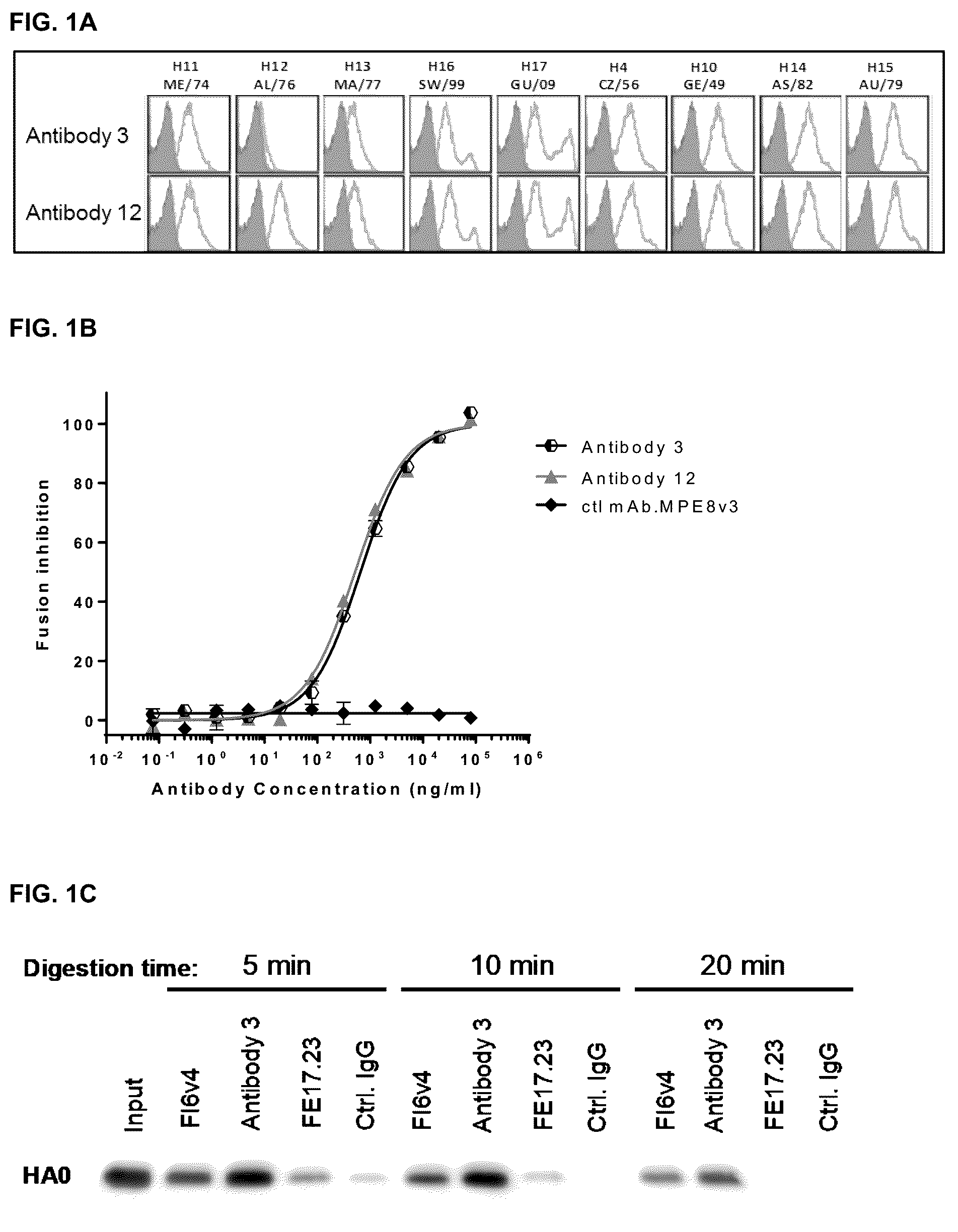 Patent US12492240 Figure 1 – Neutralizing anti-influenza A antibodies and uses thereof