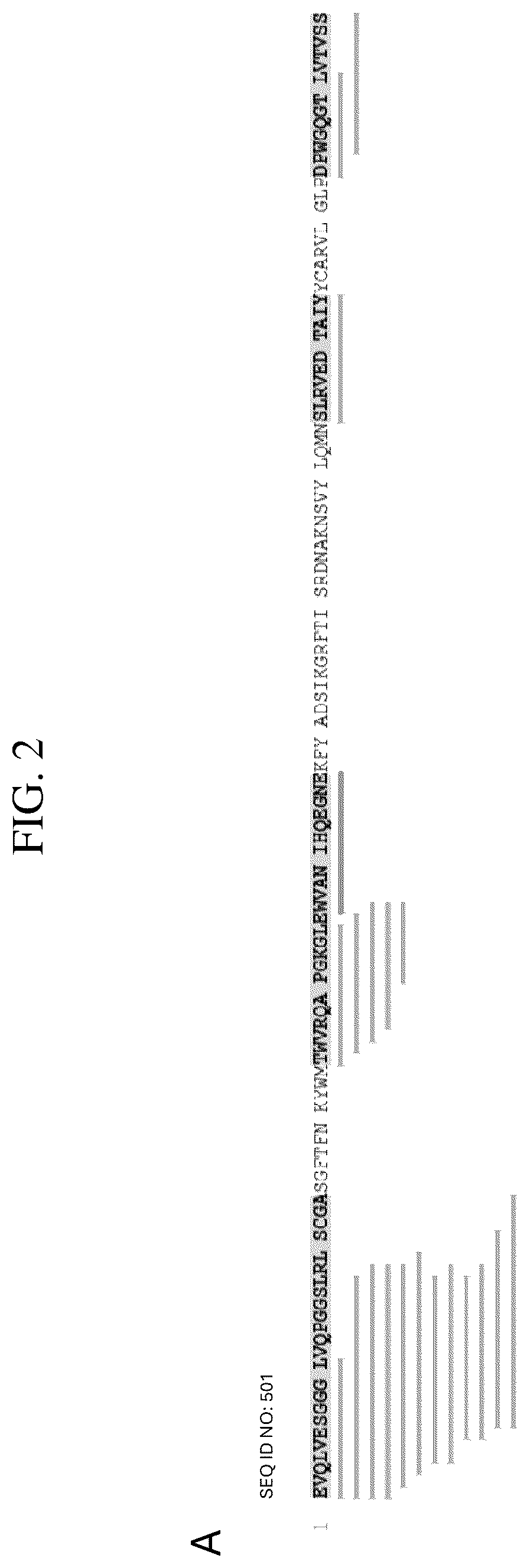 Patent US12492241 Figure 2 – Broadly neutralizing antibodies against HIV