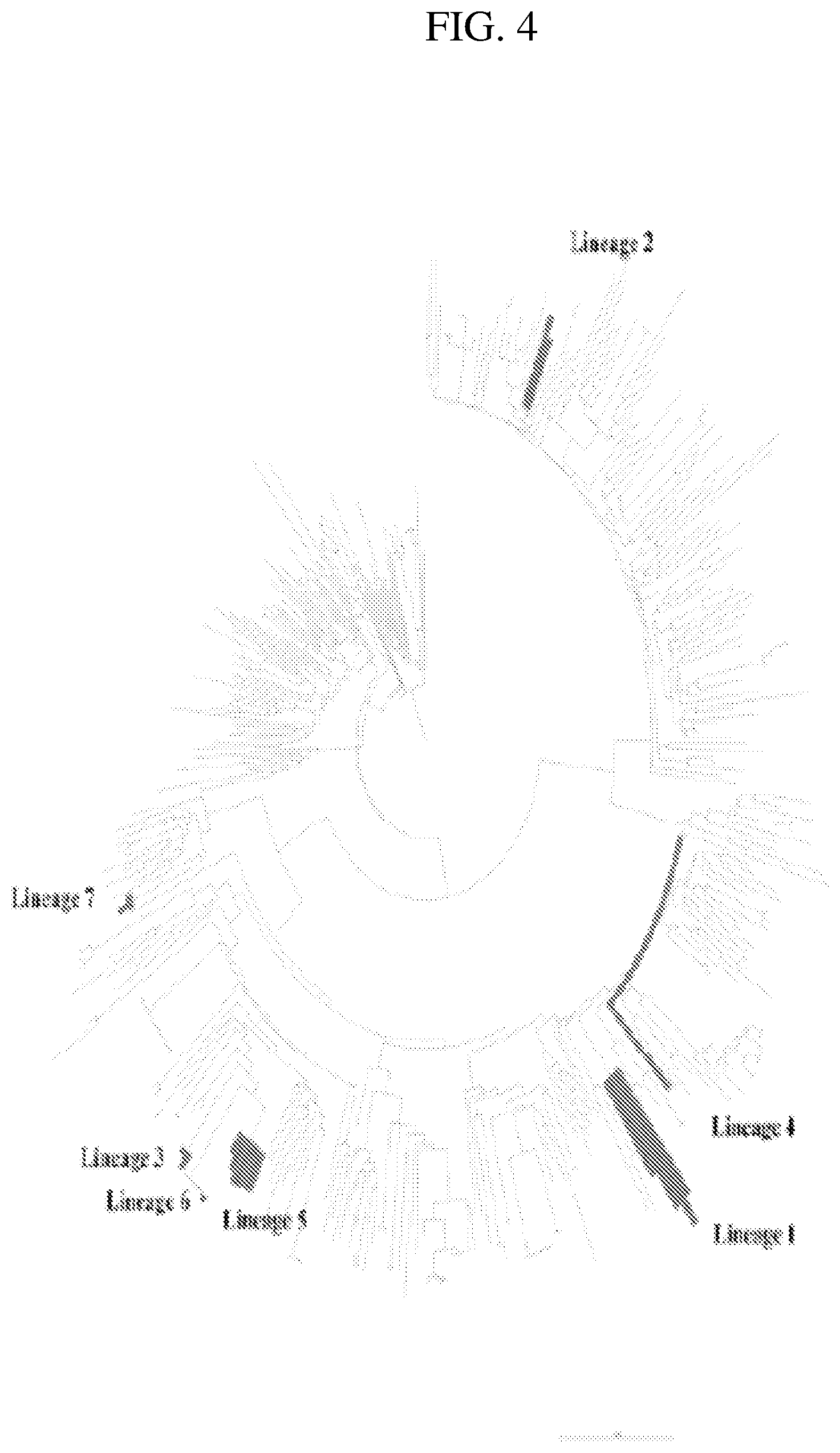 Patent US12492241 Figure 5 – Broadly neutralizing antibodies against HIV
