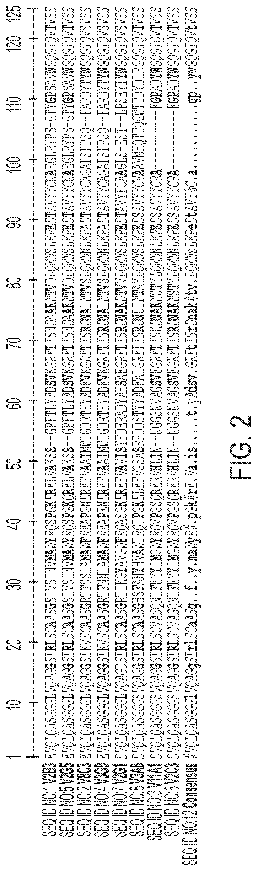 Patent US12492242 Figure 2 – Single domain antibodies that bind and neutralize Venezuelan equine encephalitis virus