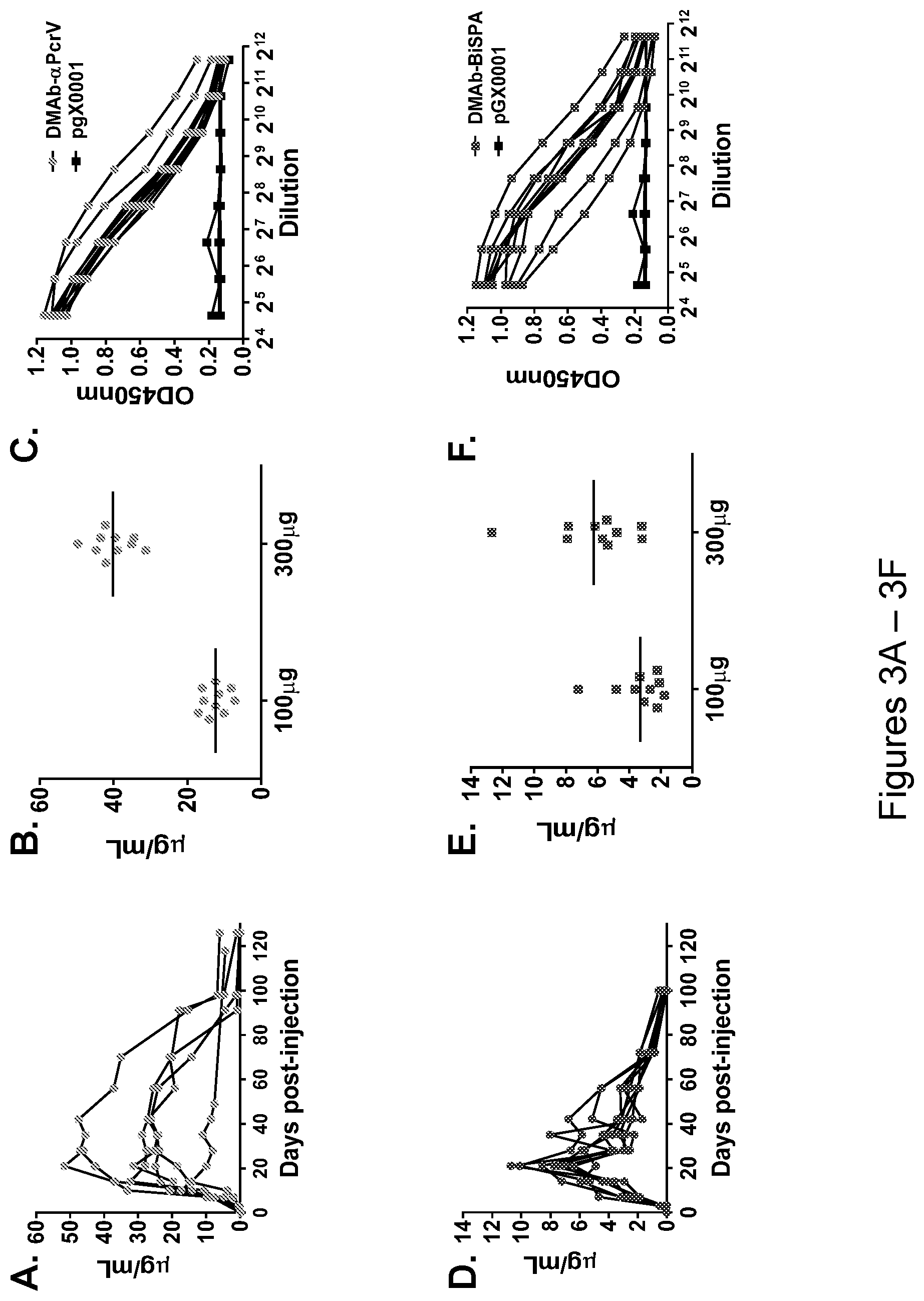 Patent US12492243 Figure 4 – DNA antibody constructs for use against Pseudomonas aeruginosa