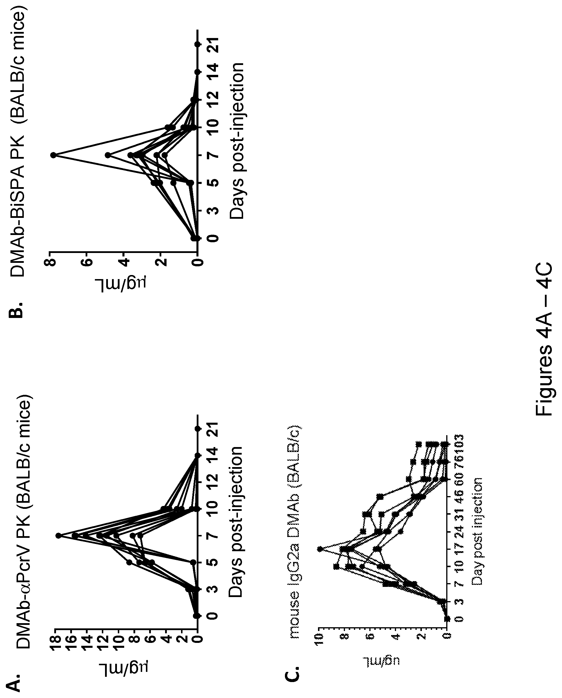 Patent US12492243 Figure 5 – DNA antibody constructs for use against Pseudomonas aeruginosa