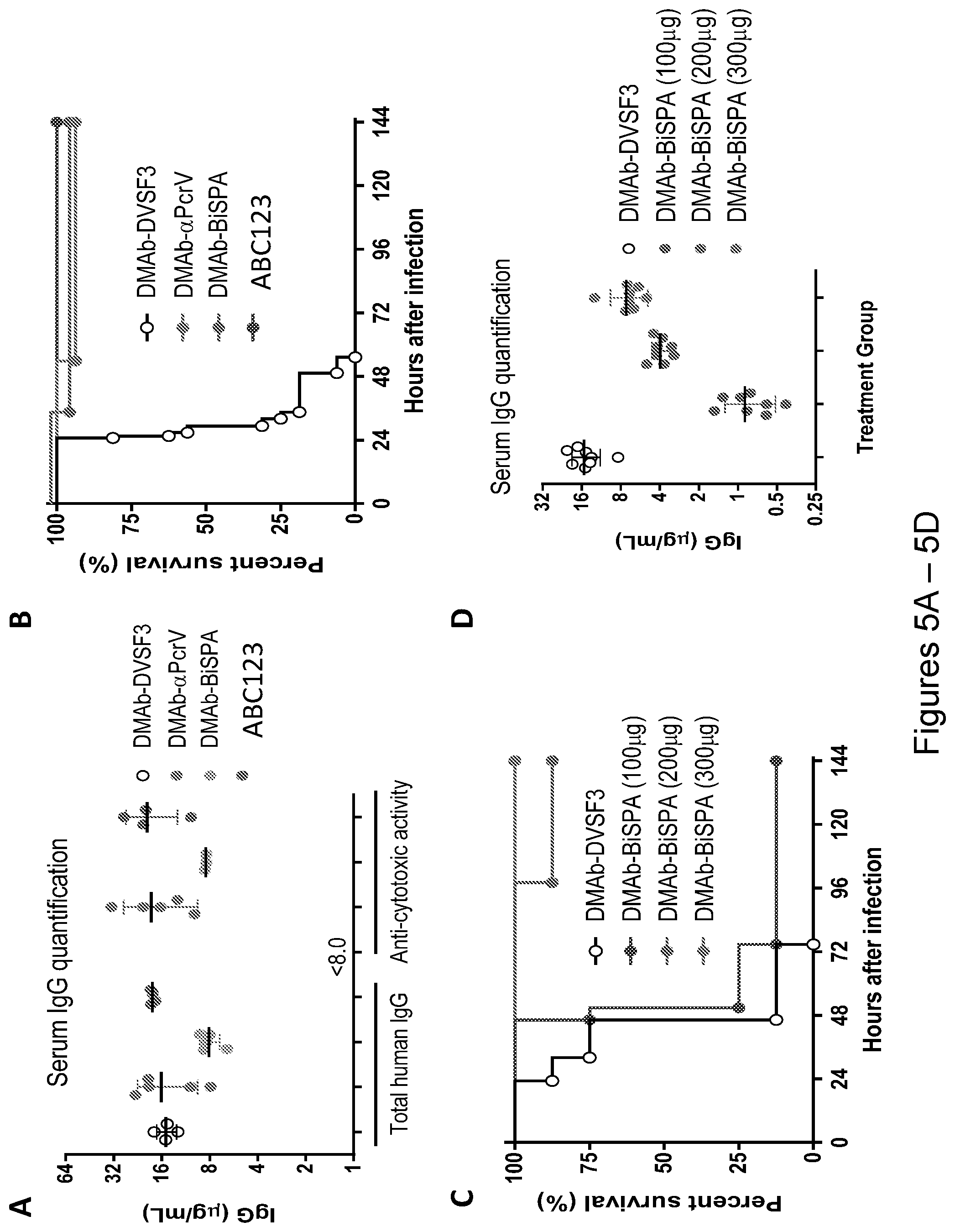 Patent US12492243 Figure 6 – DNA antibody constructs for use against Pseudomonas aeruginosa