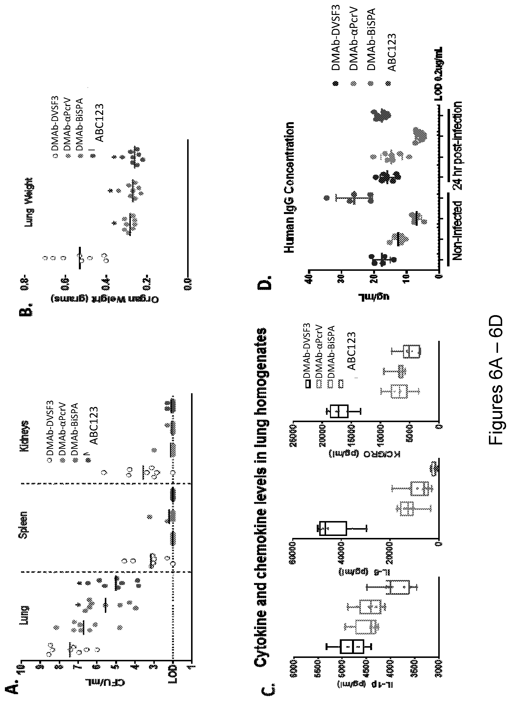 Patent US12492243 Figure 7 – DNA antibody constructs for use against Pseudomonas aeruginosa