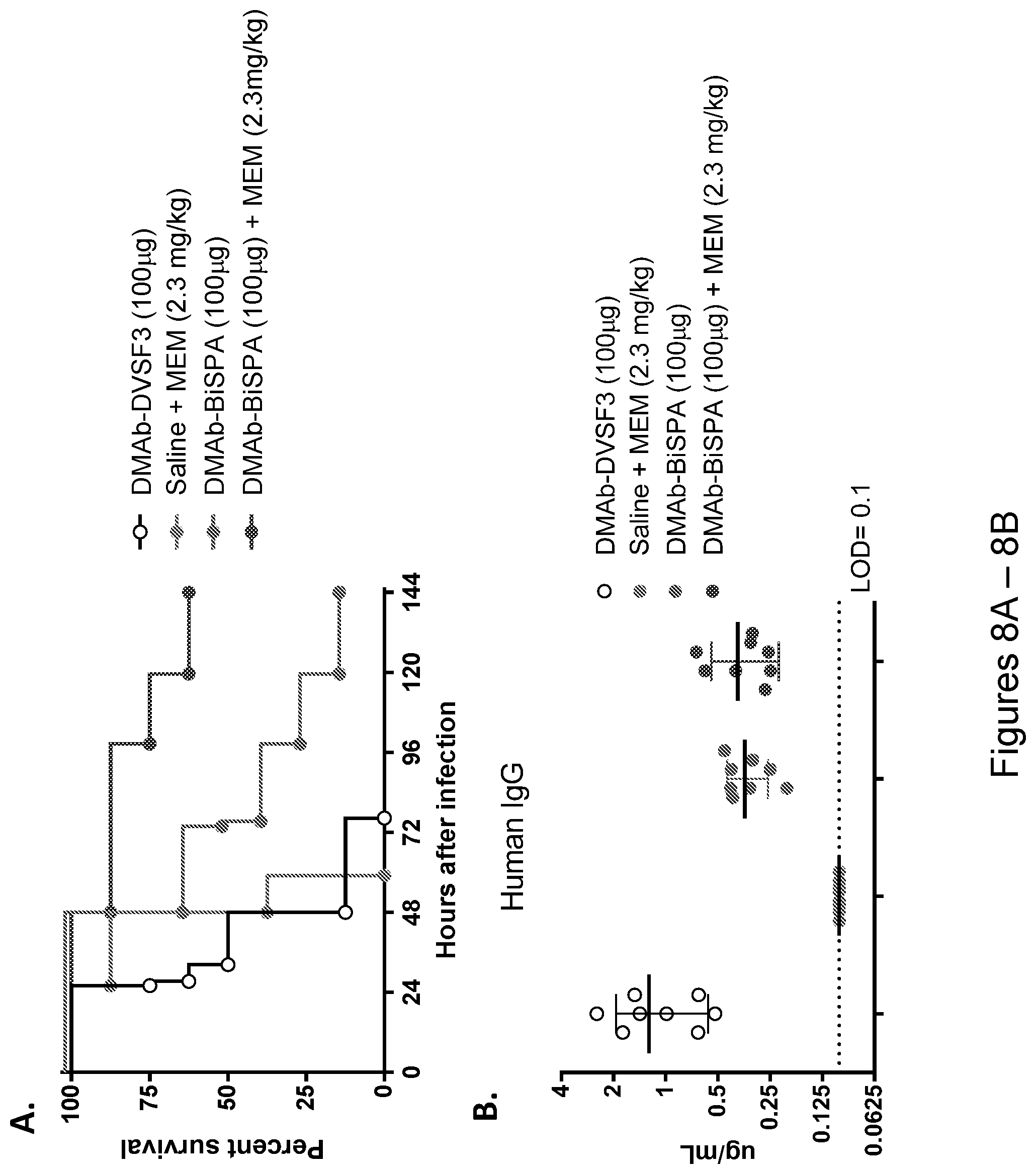 Patent US12492243 Figure 9 – DNA antibody constructs for use against Pseudomonas aeruginosa