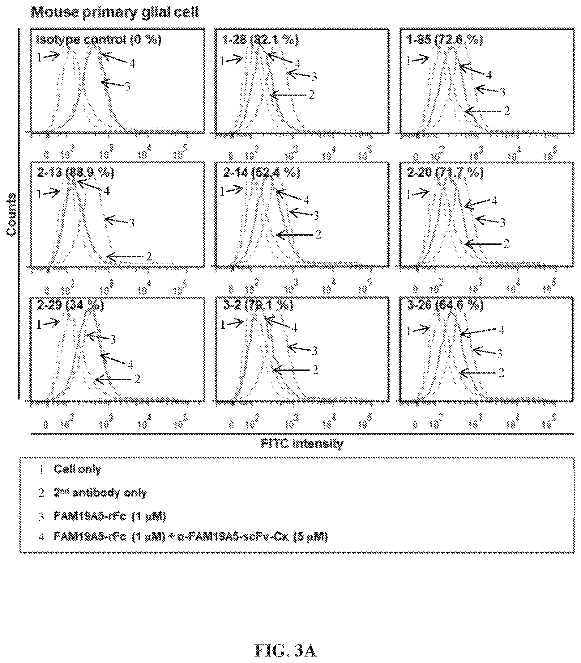 Patent US12492244 Figure 5 – Anti-family with sequence similarity 19, member A5 antibodies and method of use thereof