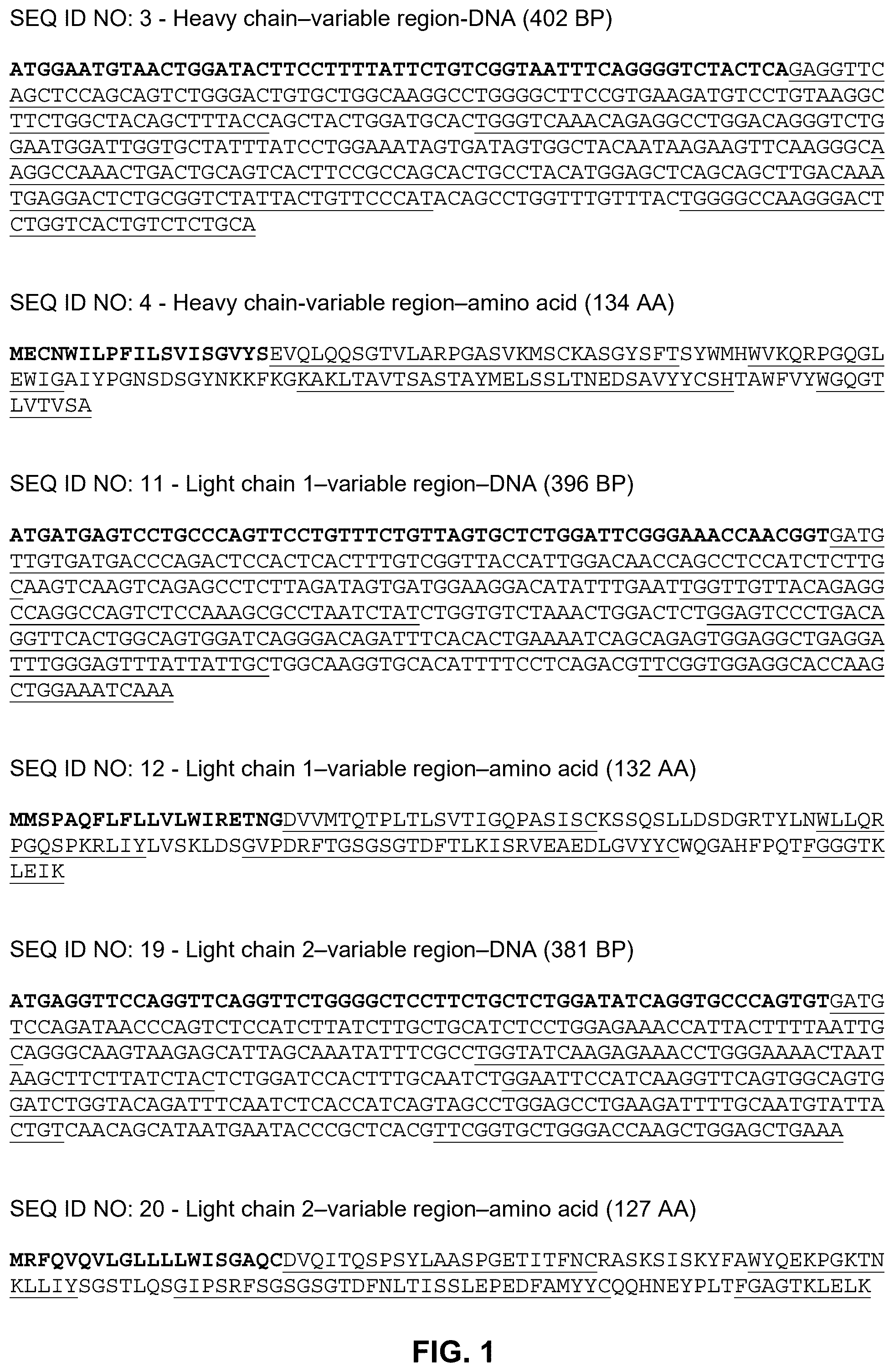 Patent US12492245 Figure 1 – Anti-CCL8 antibodies and treatment of lung injury by CCL8 inhibition