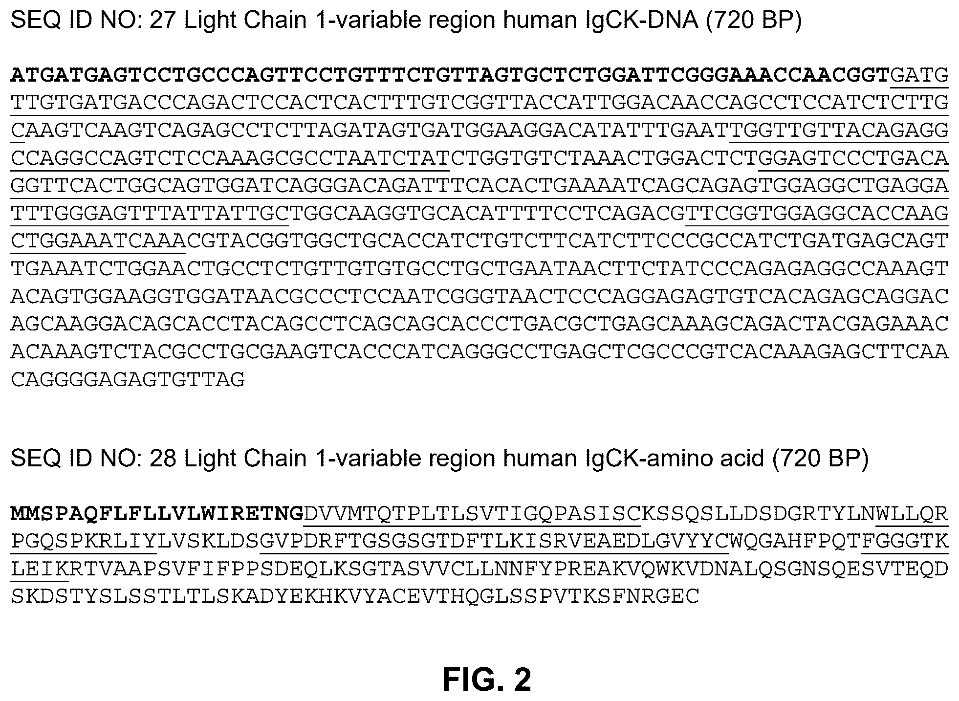 Patent US12492245 Figure 2 – Anti-CCL8 antibodies and treatment of lung injury by CCL8 inhibition