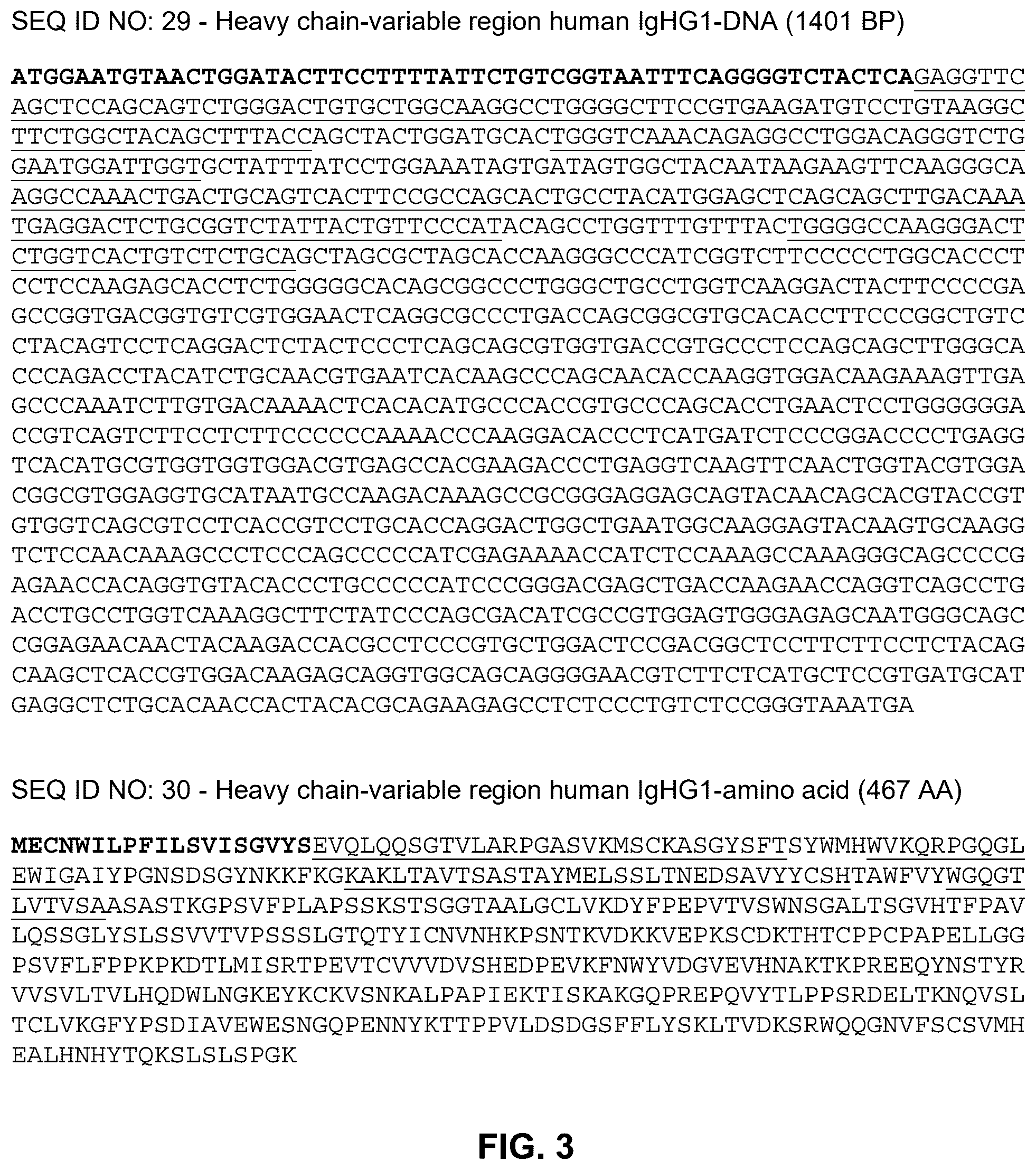 Patent US12492245 Figure 3 – Anti-CCL8 antibodies and treatment of lung injury by CCL8 inhibition
