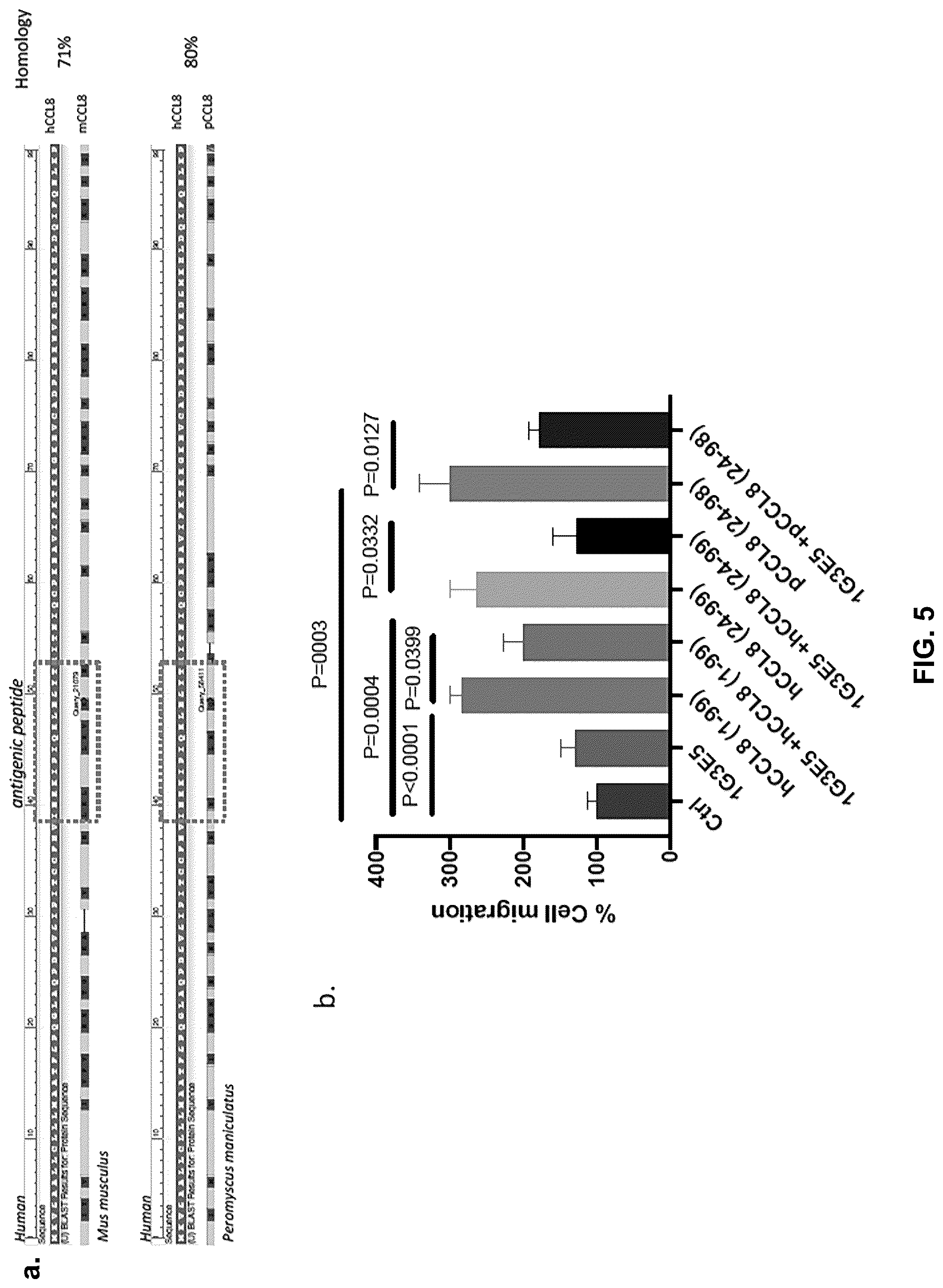 Patent US12492245 Figure 5 – Anti-CCL8 antibodies and treatment of lung injury by CCL8 inhibition