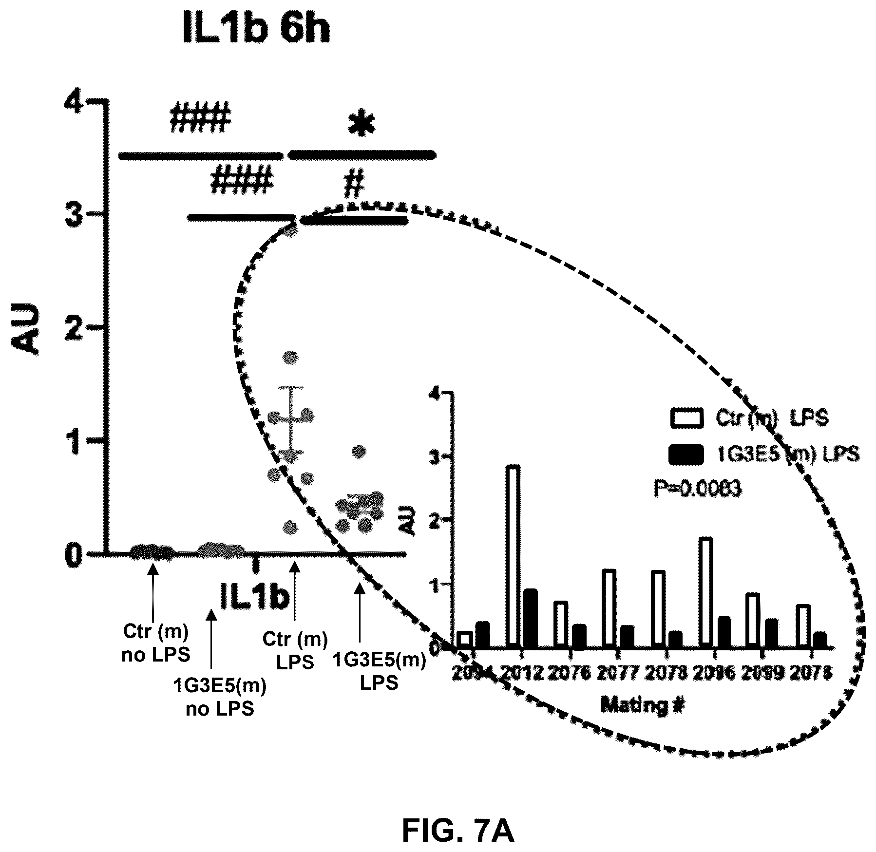 Patent US12492245 Figure 7 – Anti-CCL8 antibodies and treatment of lung injury by CCL8 inhibition